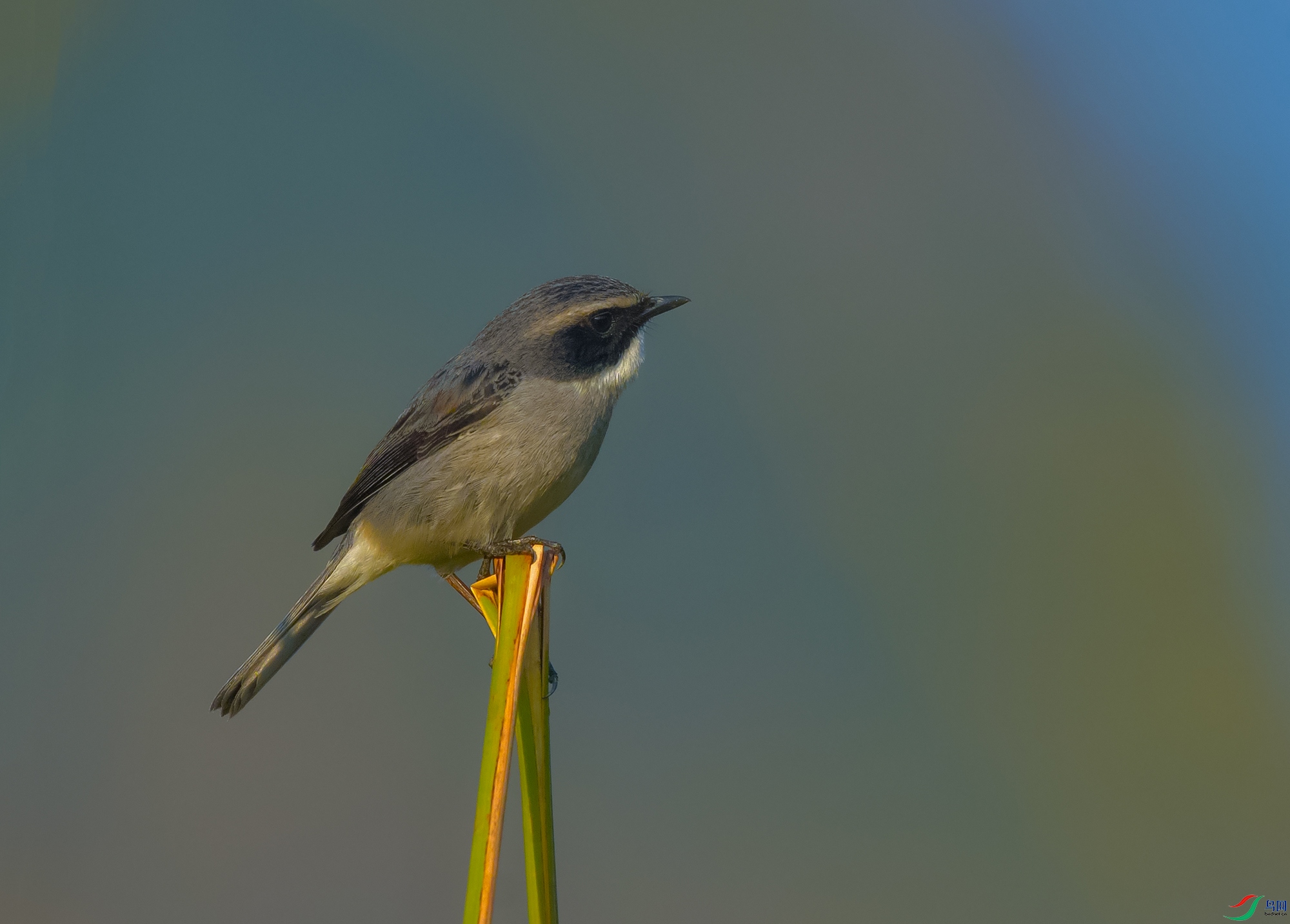 DSC_0667.JPG