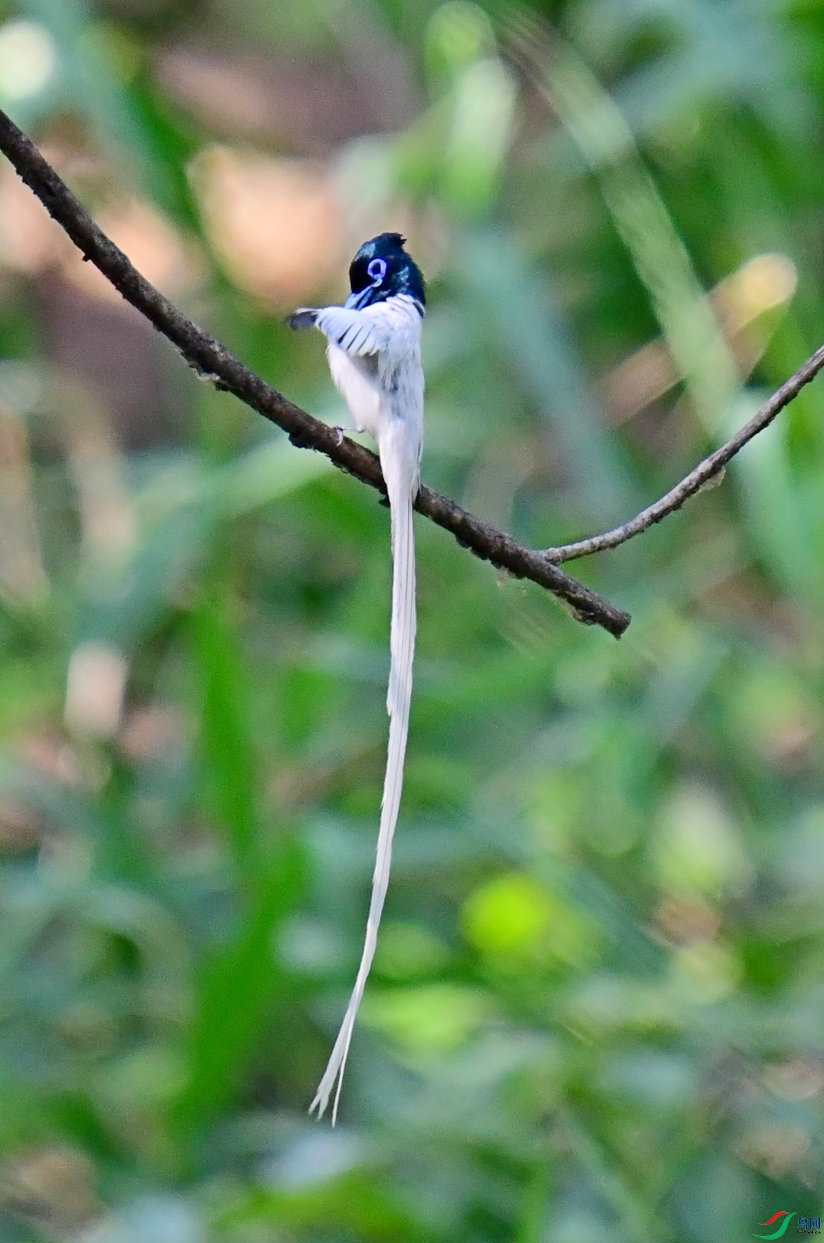 DSC_2091.jpg