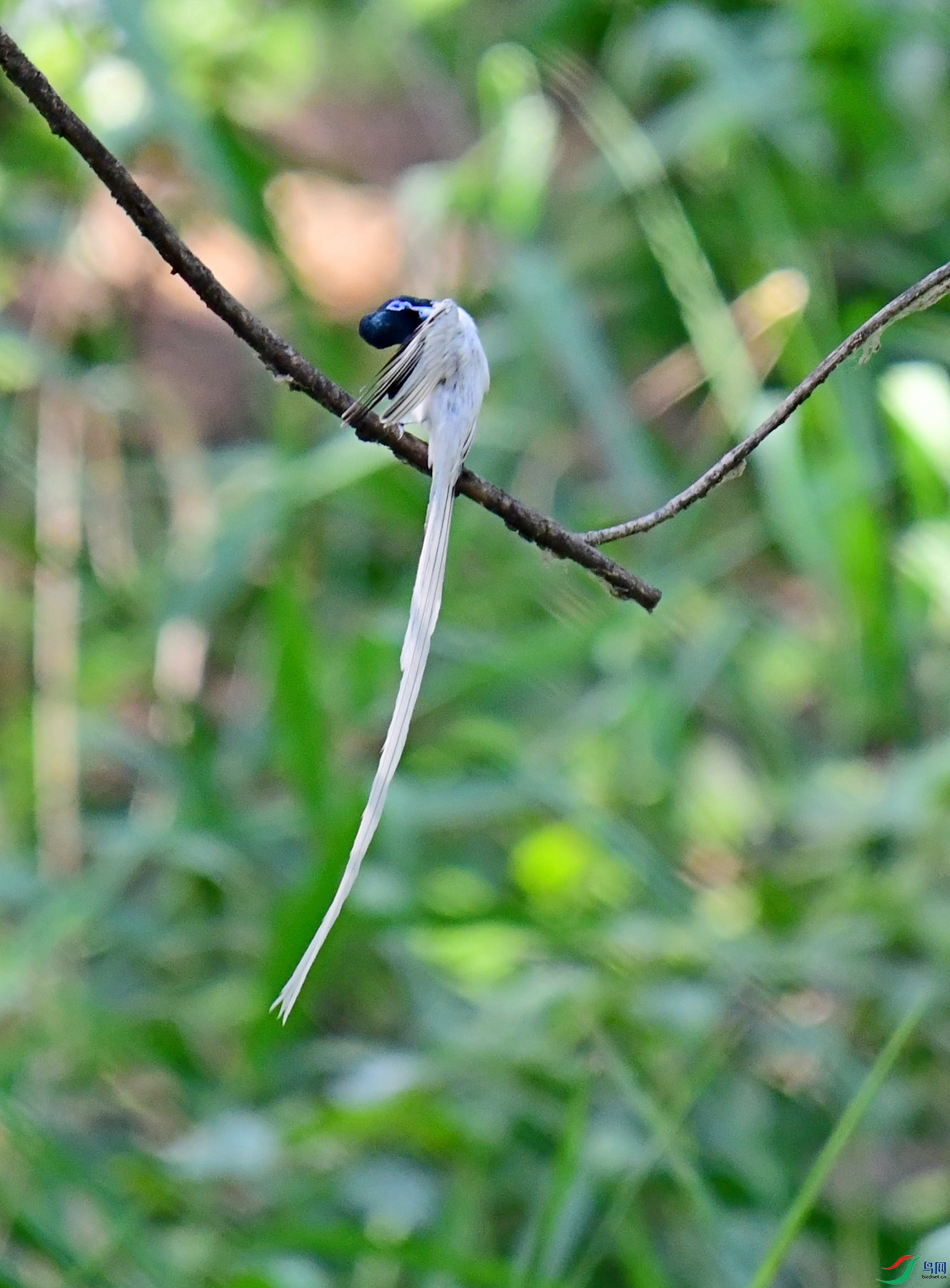 DSC_2087.jpg