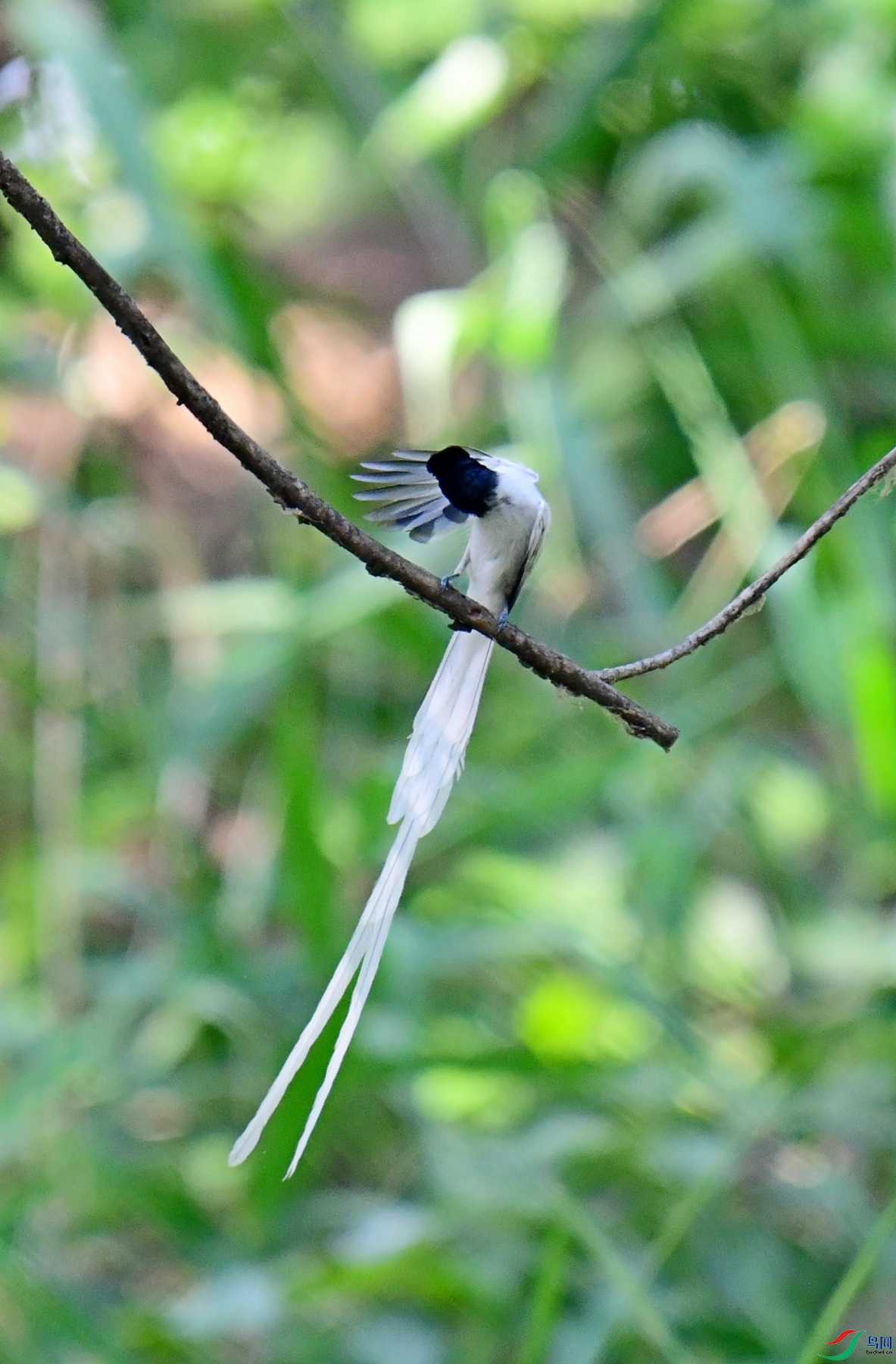DSC_2051.jpg