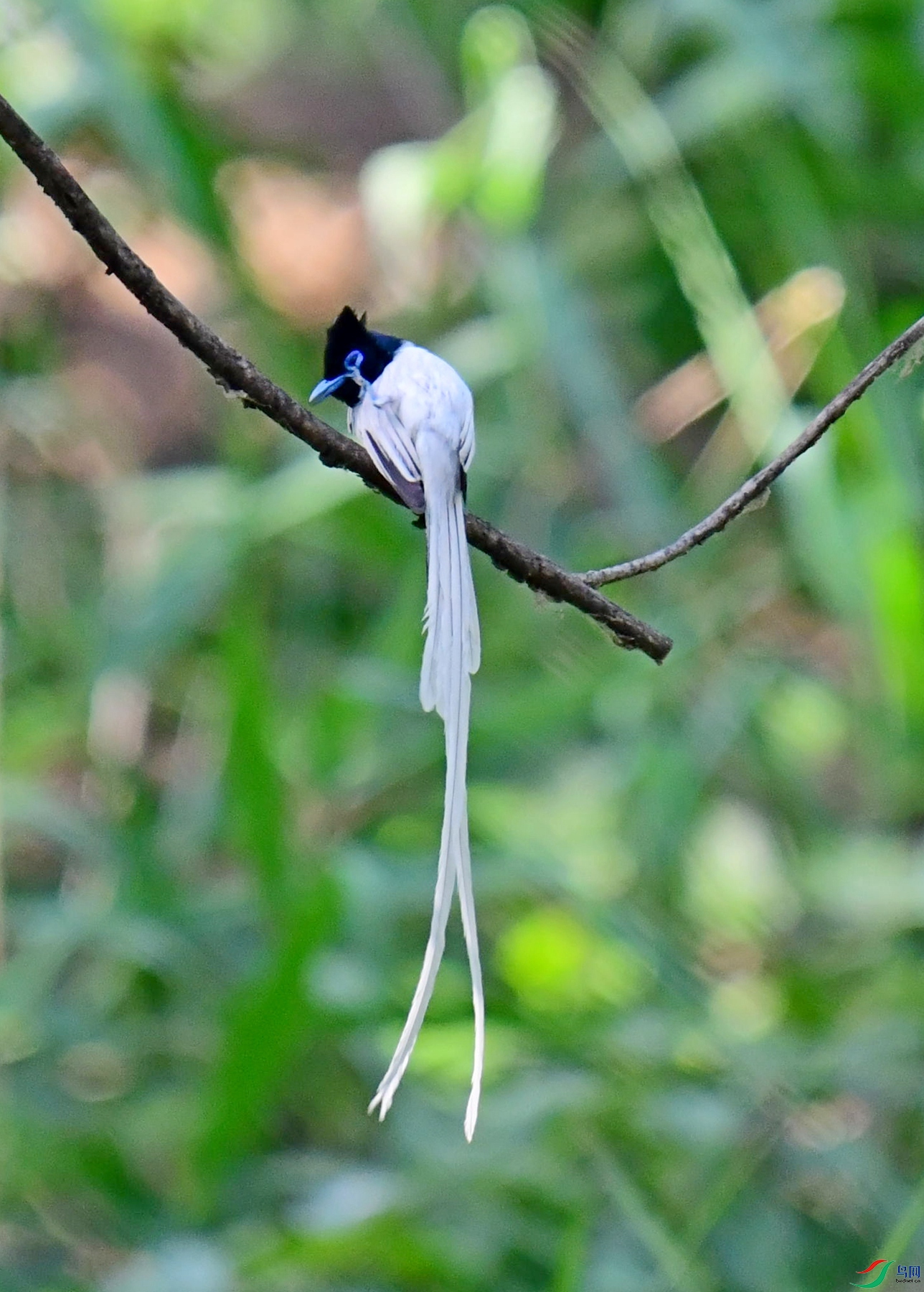 DSC_2058.jpg