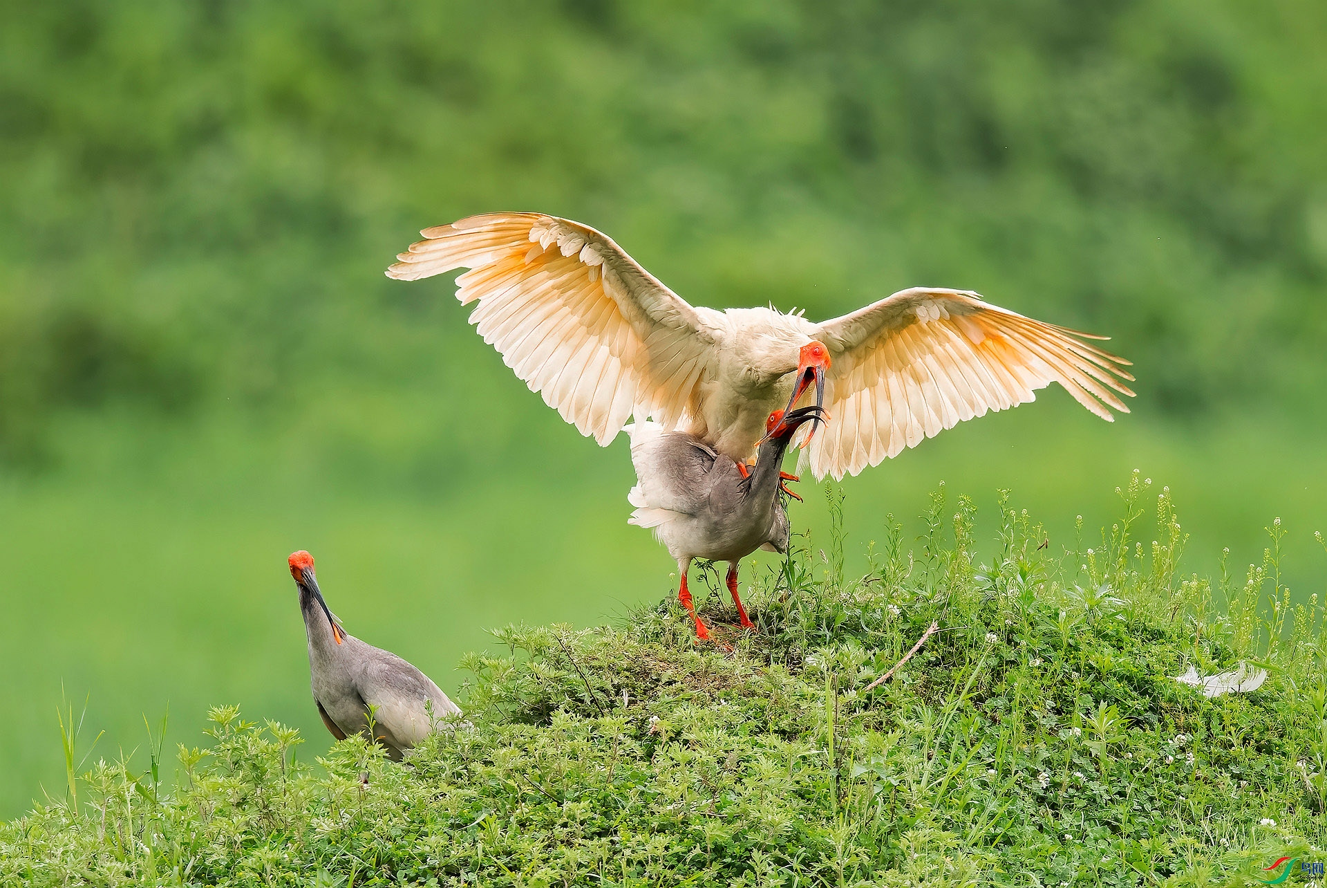 DSC_7802 ����_���� ����.jpg