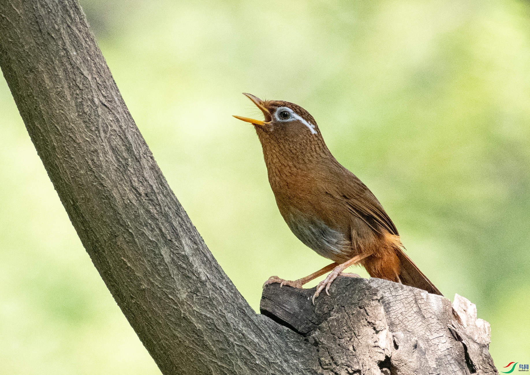 DSC_0803.jpg