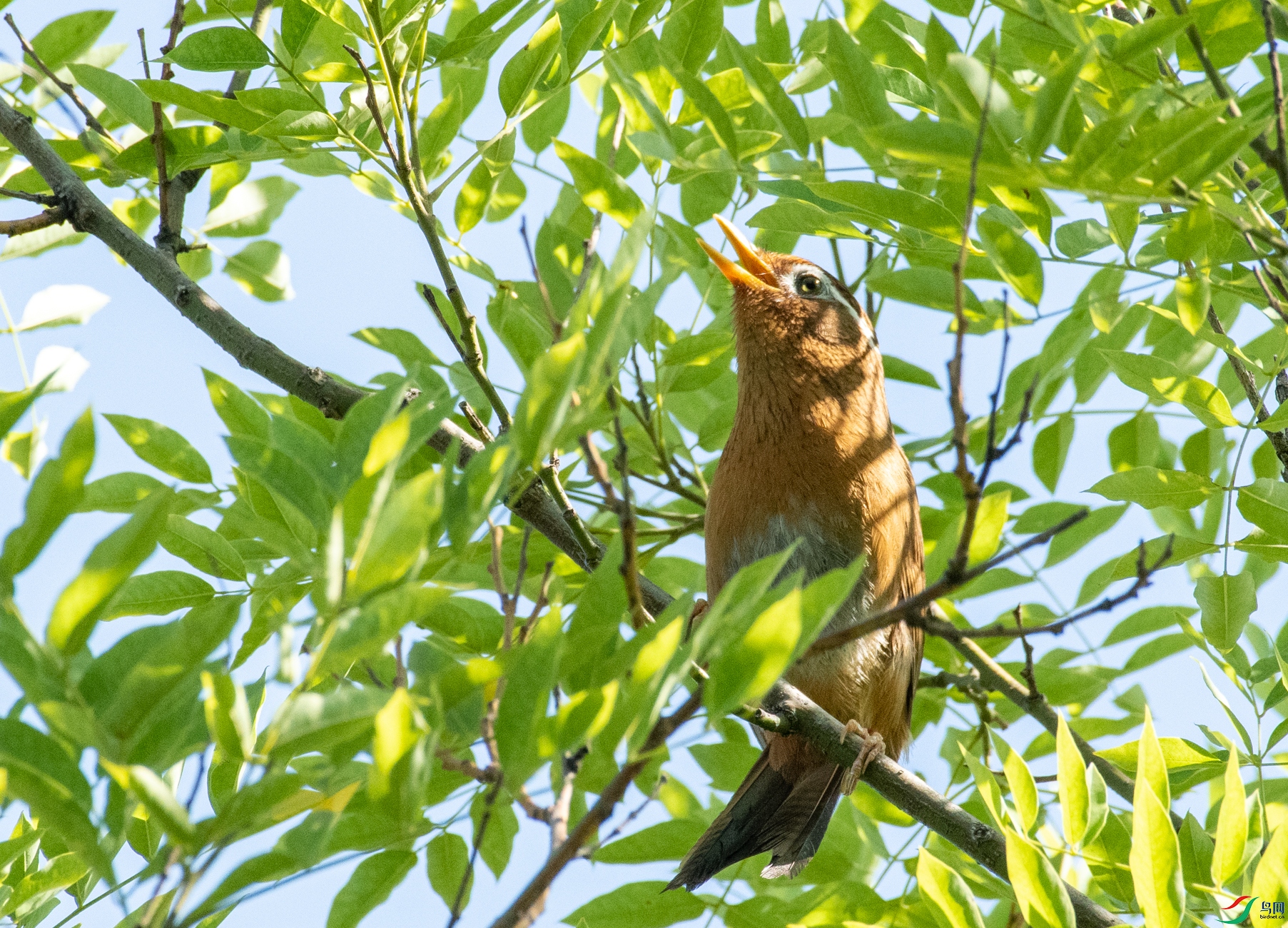 DSC_0879.jpg