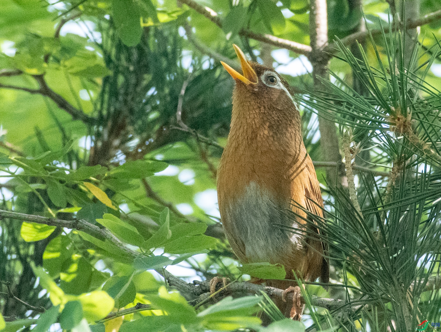 DSC_0957.jpg