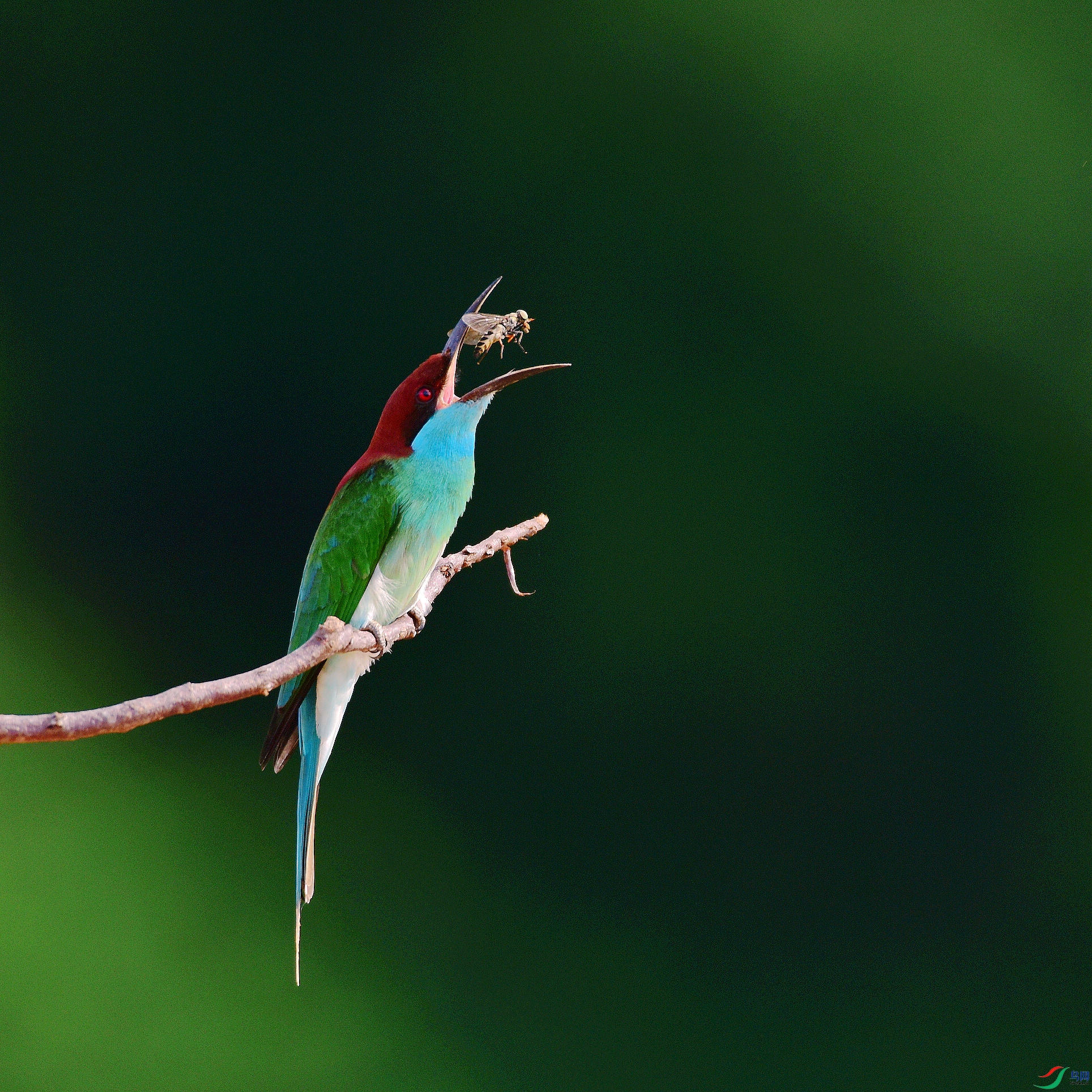 D8I_5852.jpg
