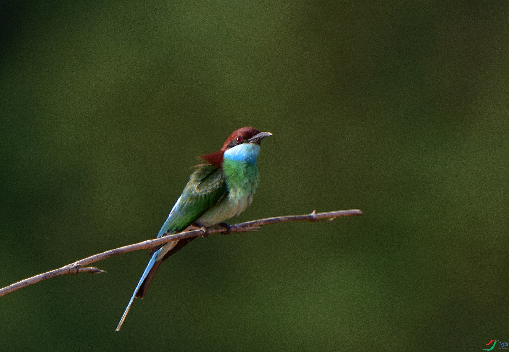 D8I_5983.jpg