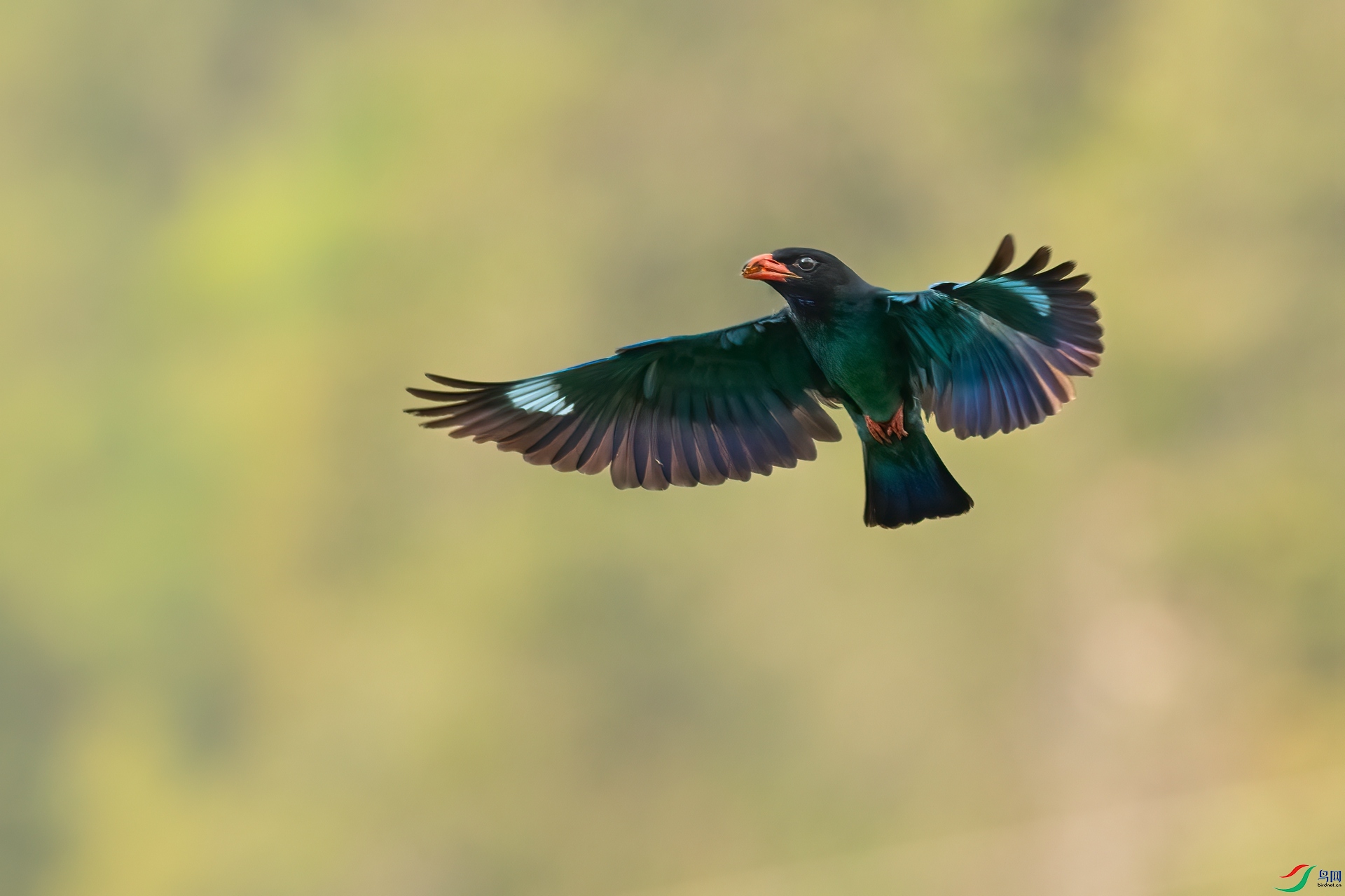 B86I6958 _����.jpg