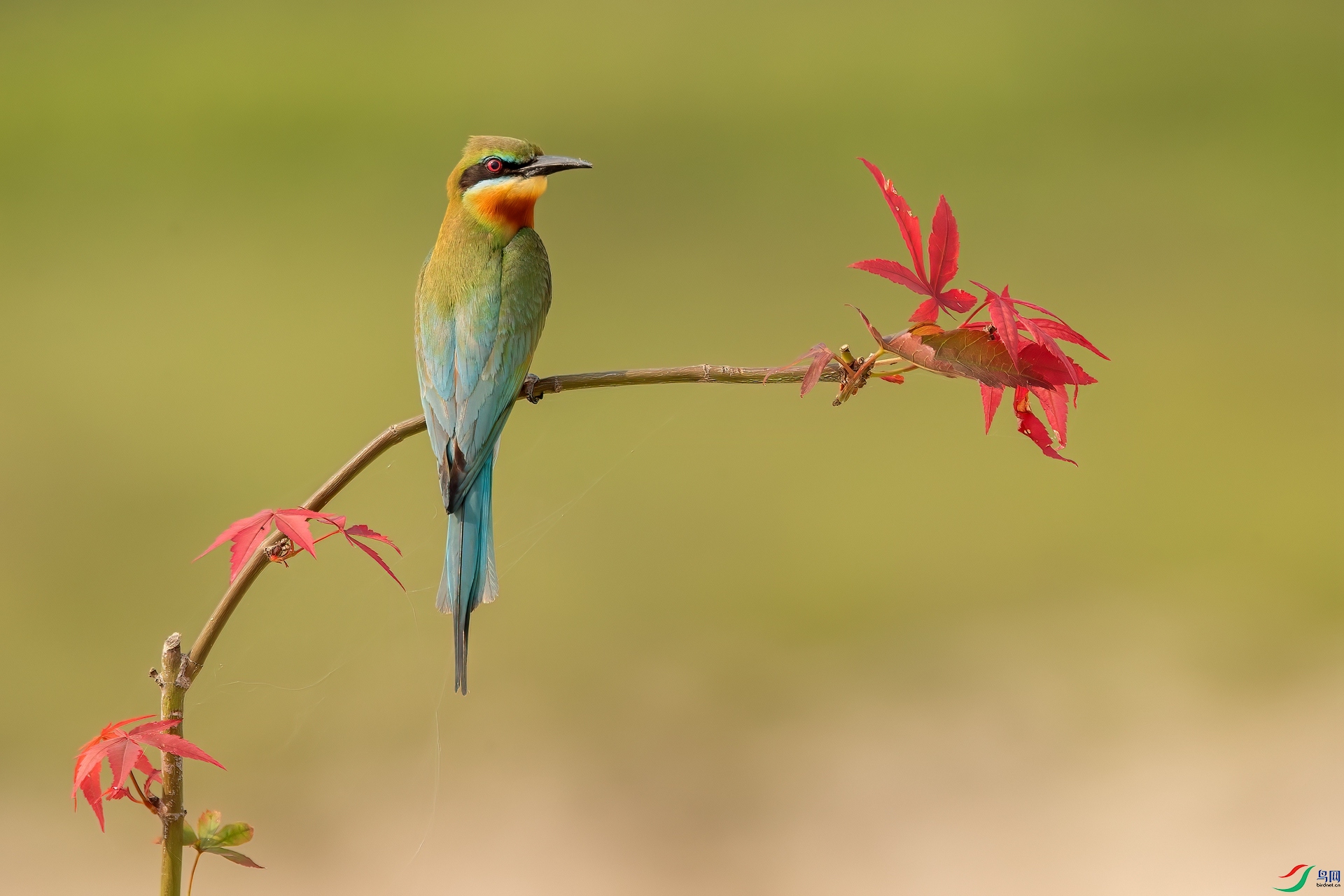 B86I6898 _����.jpg