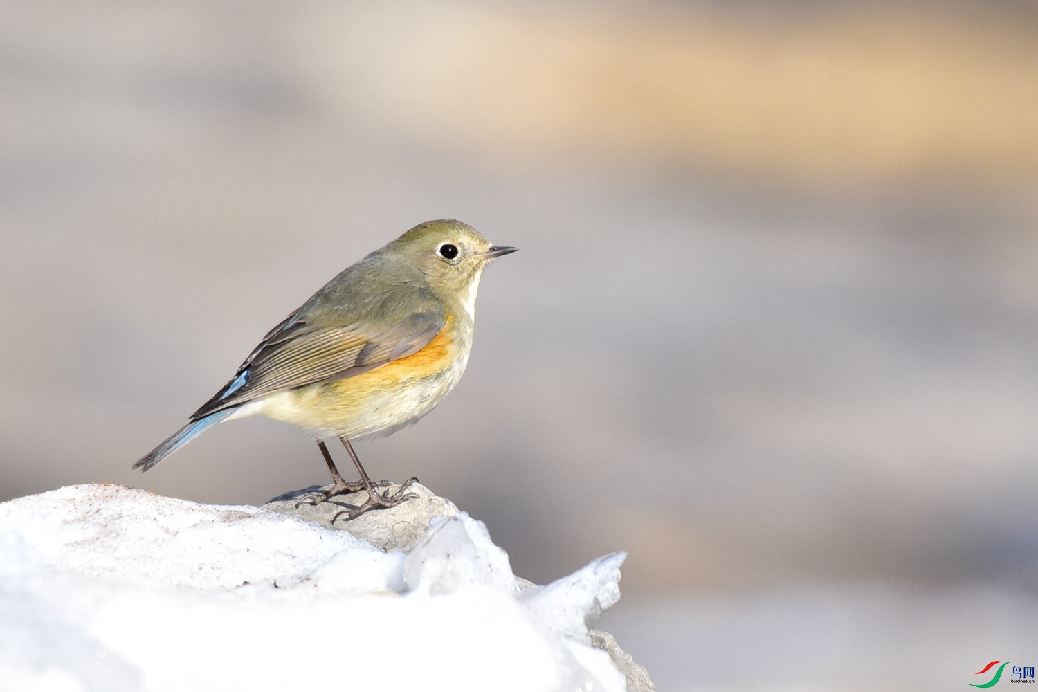DSC_3214.JPG
