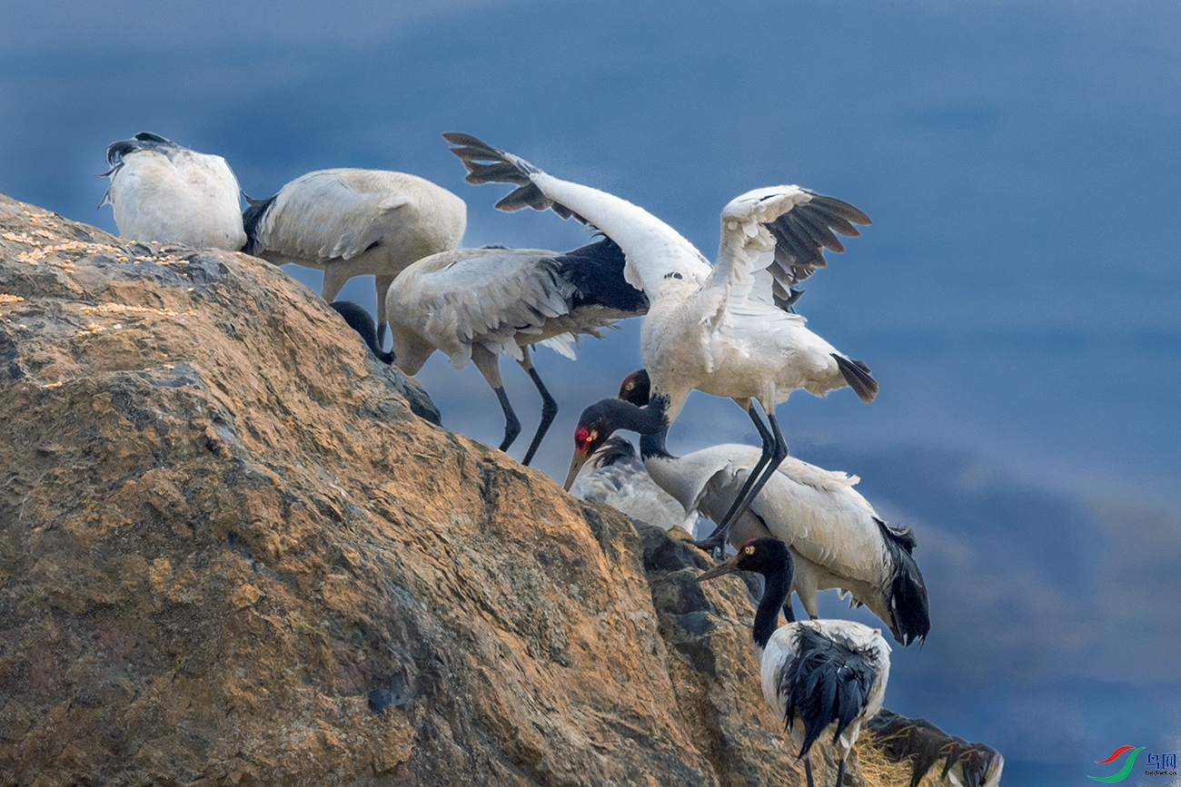 �ھ���----���²�η��