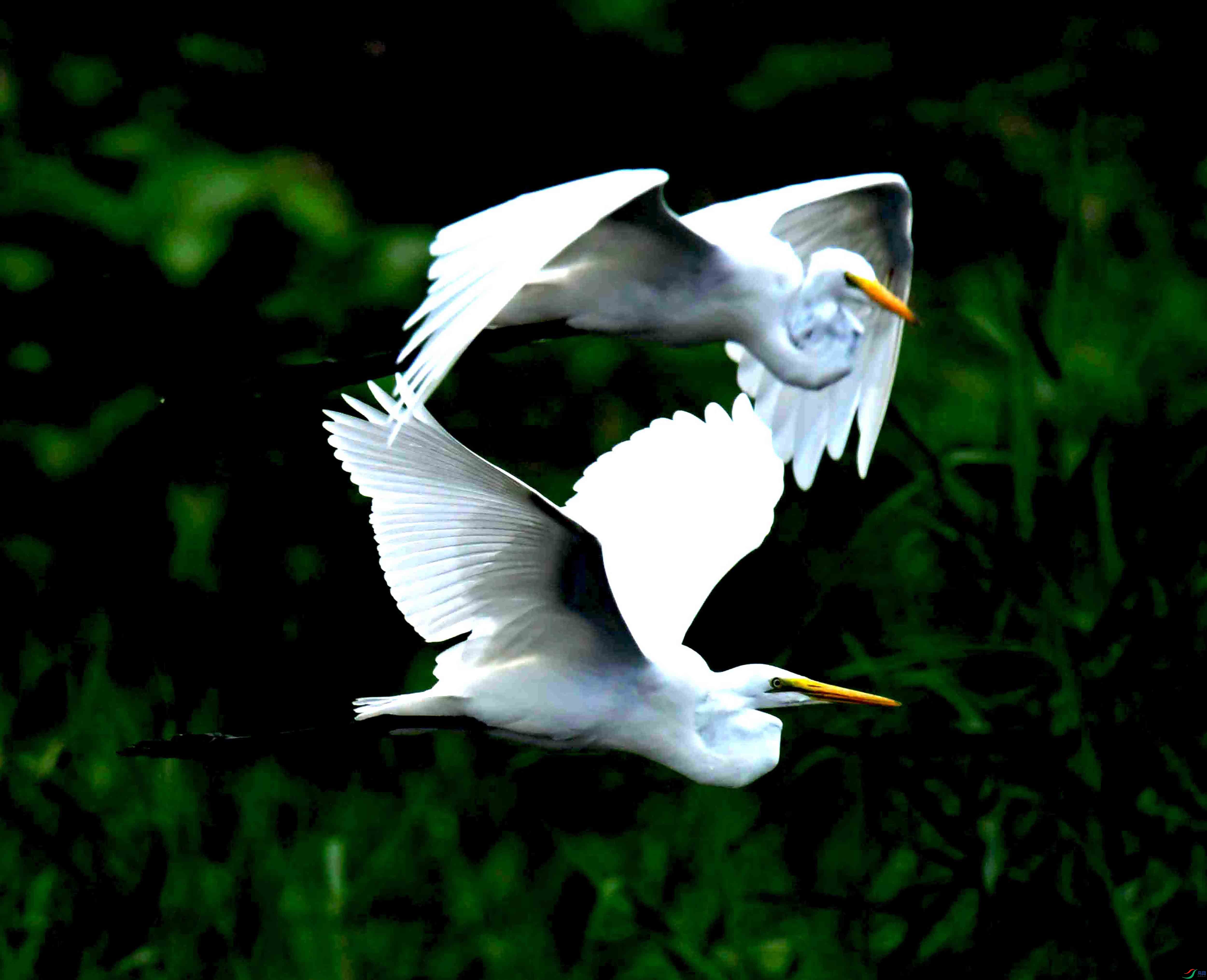 DSC_0900.JPG