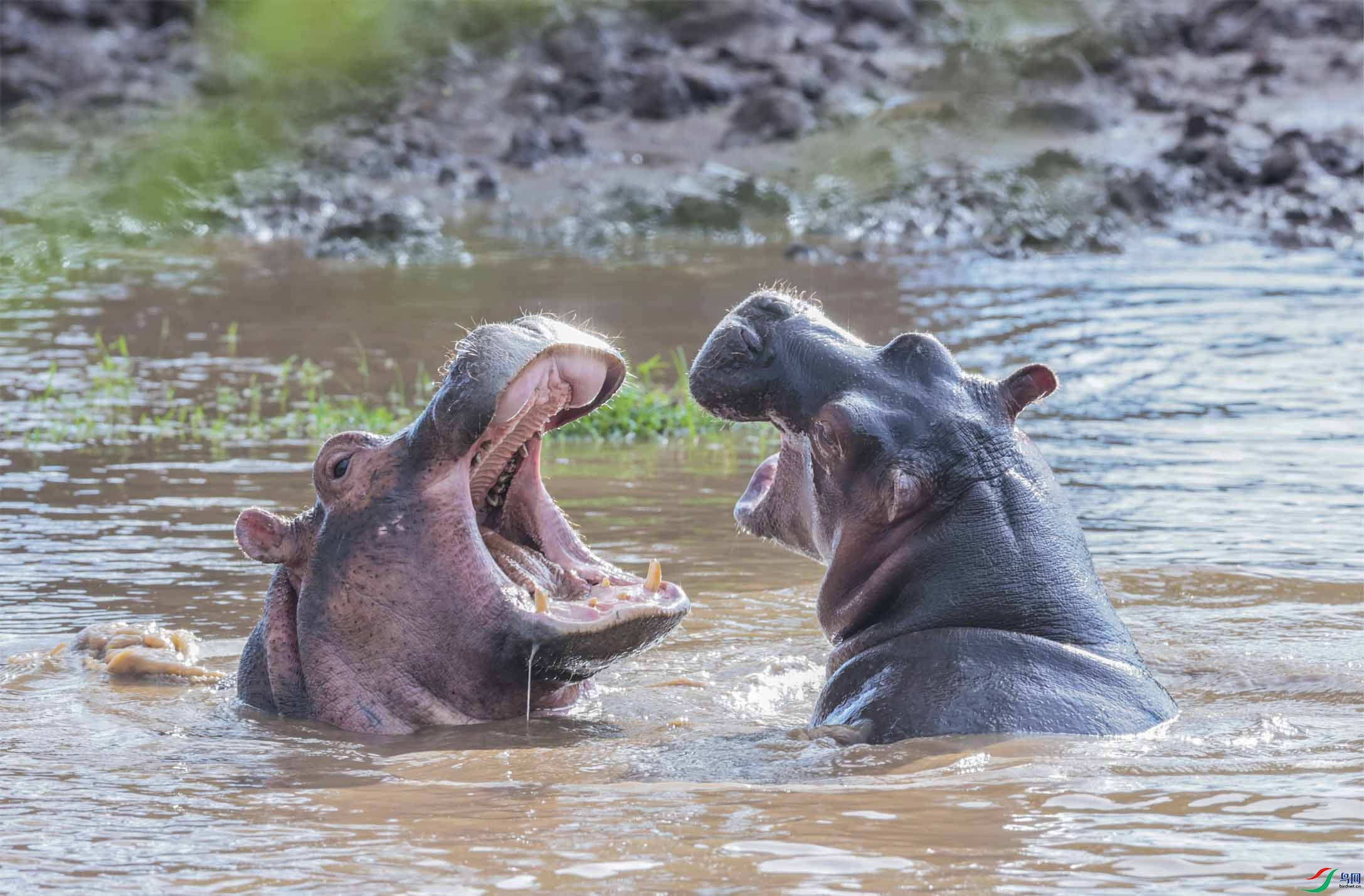 ��Ƣ���ĺ��� ����.jpg