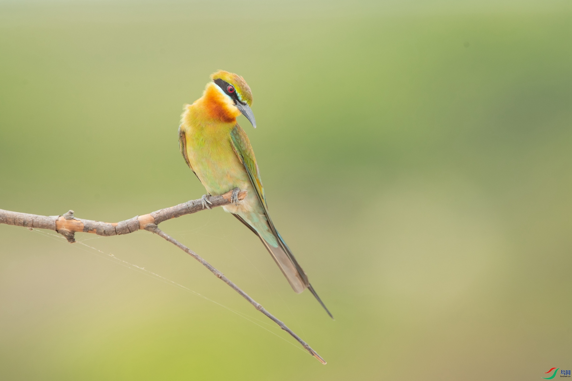 B86I4956 _����.jpg