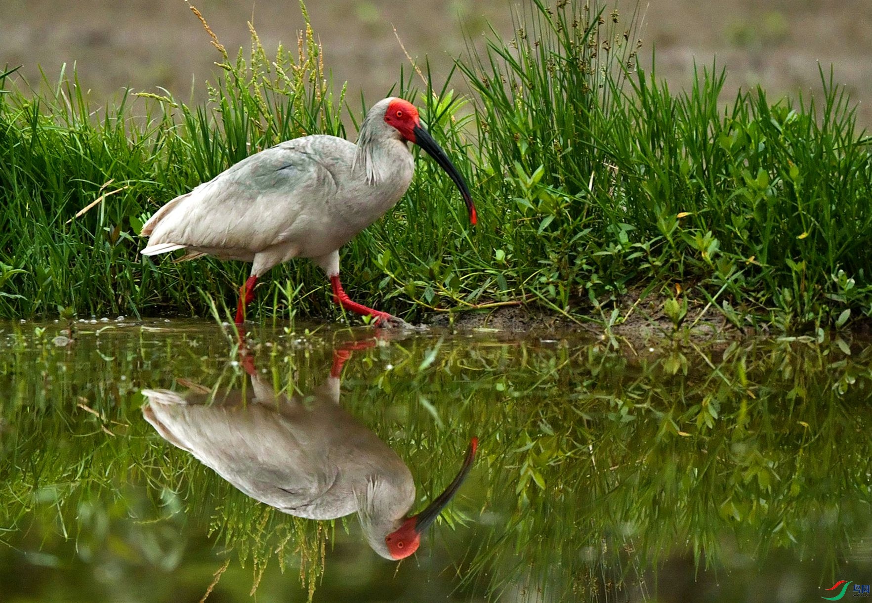 ��ͥ�Ų���