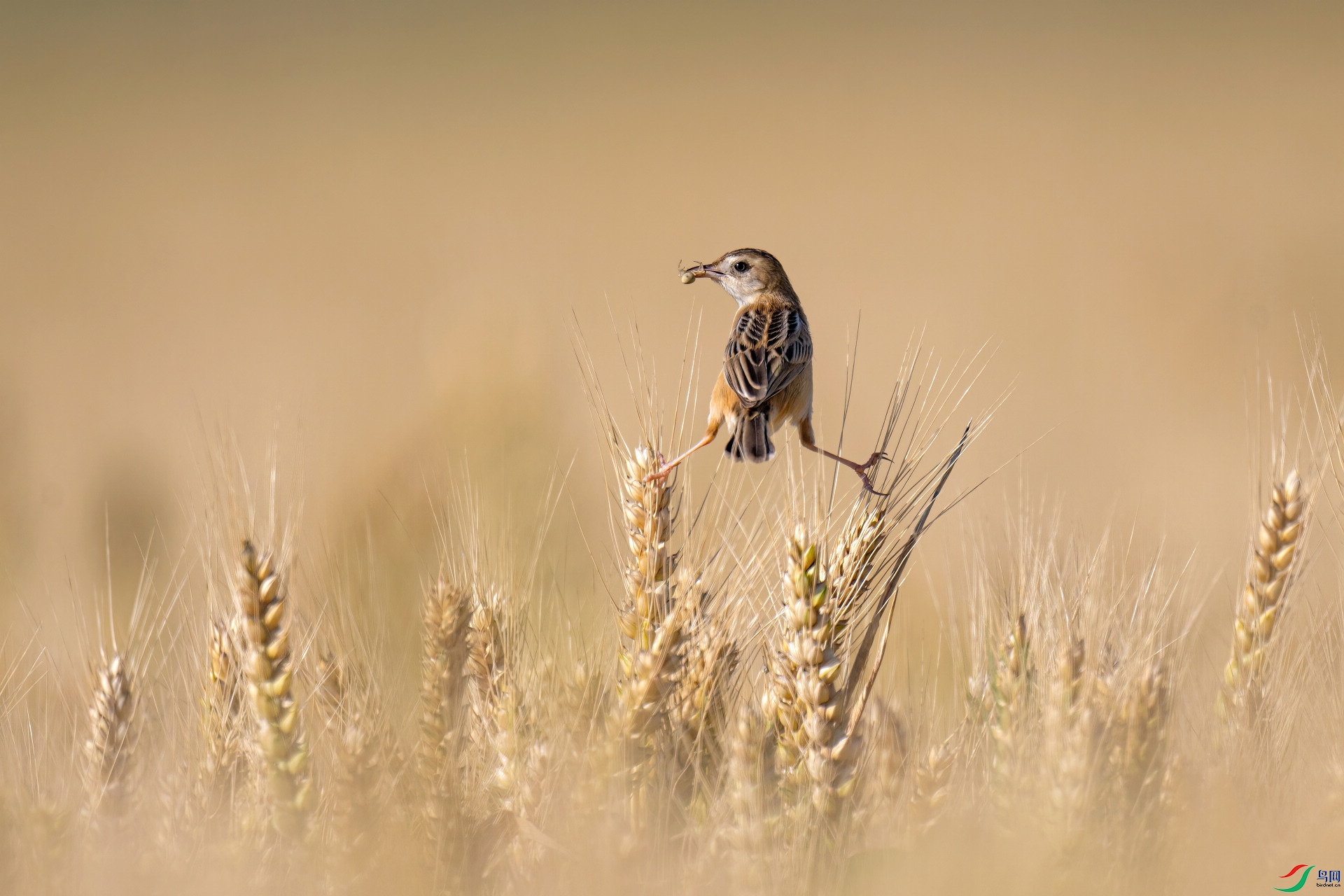 ���� ����â�ϵ����ߡ� ����.jpg