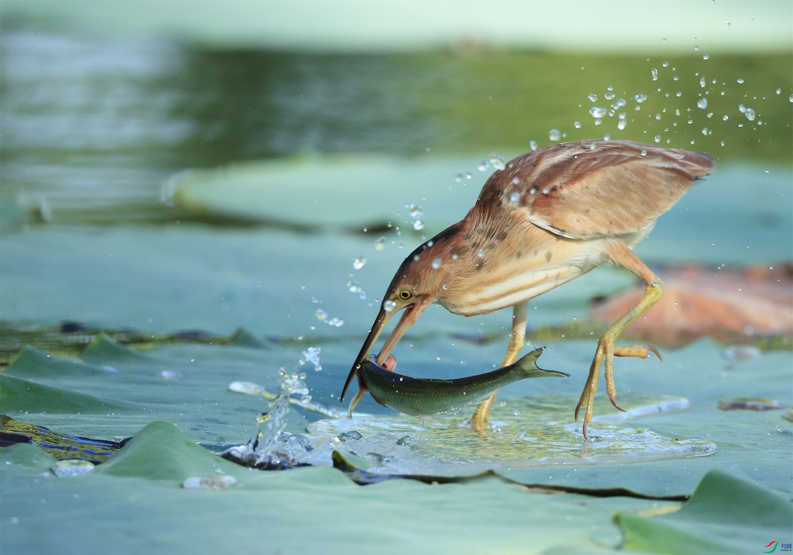 422 - ���� (3).jpg