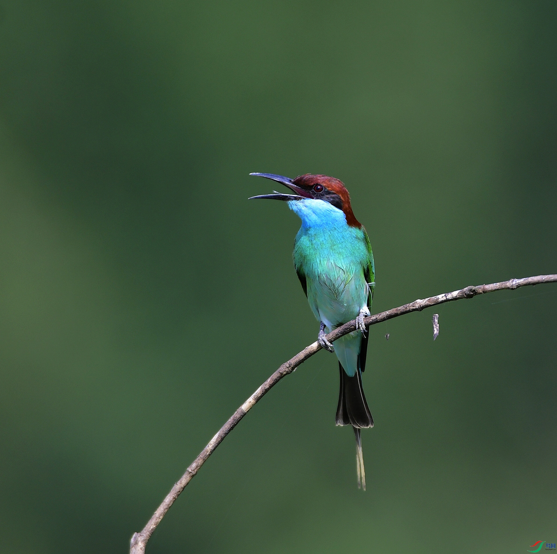 _D5D8107.jpg