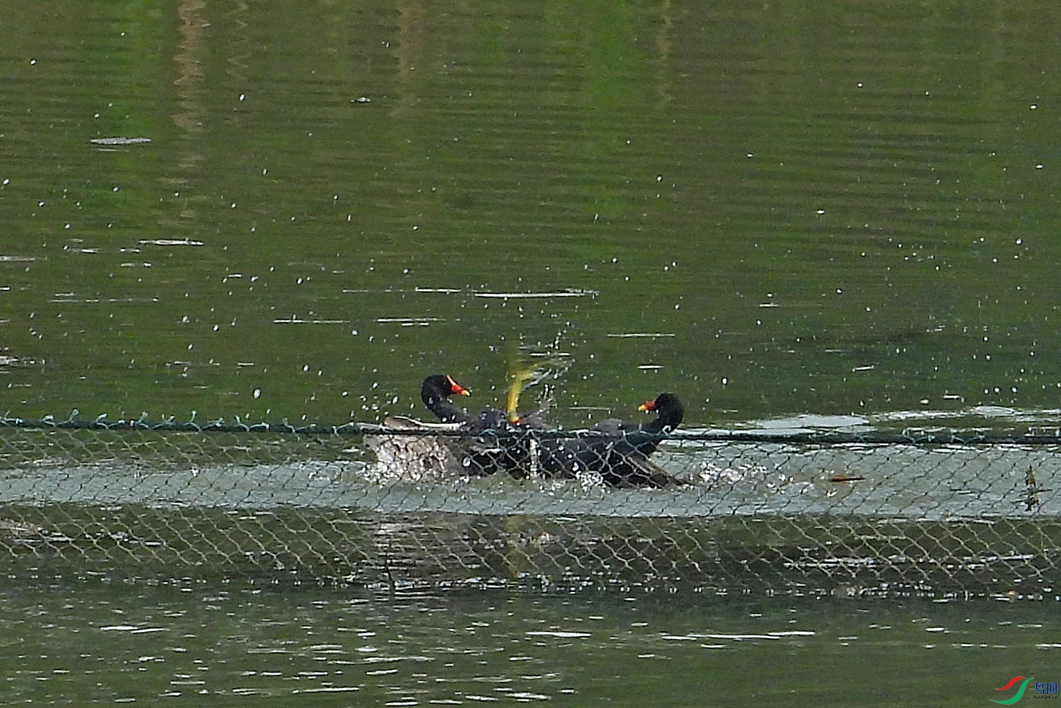 DSCN6890.JPG