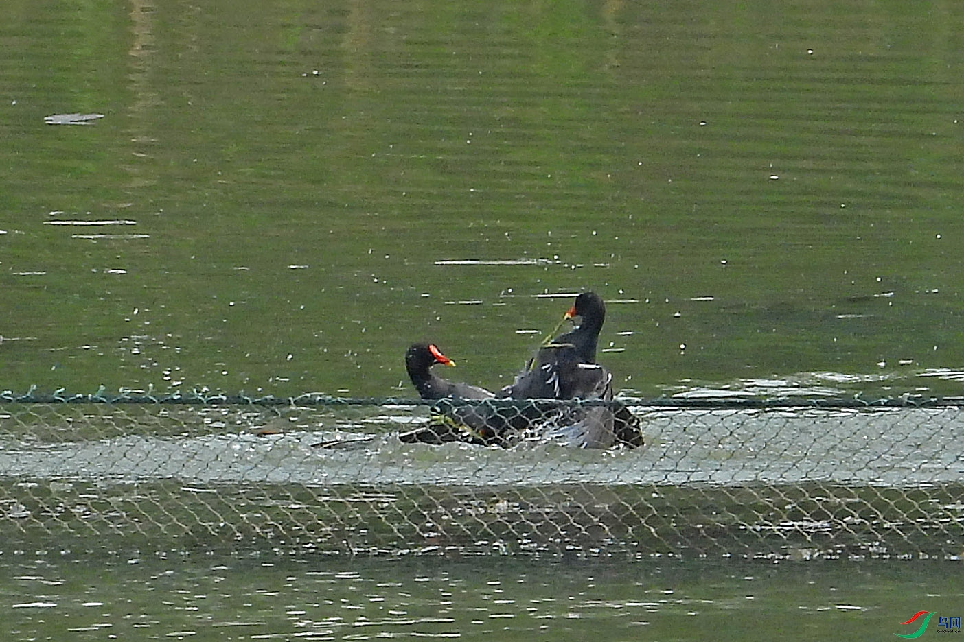 DSCN6891.JPG