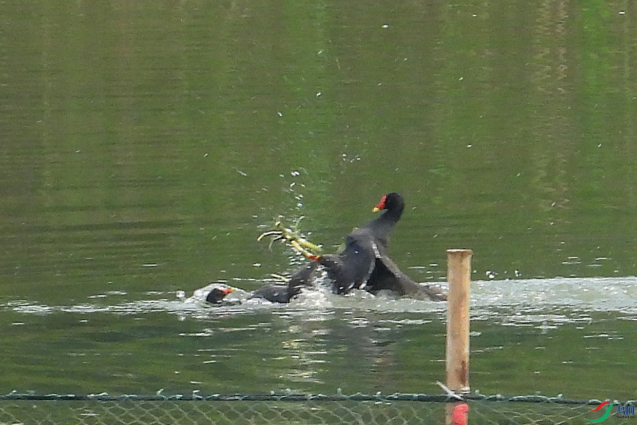 DSCN6903.JPG