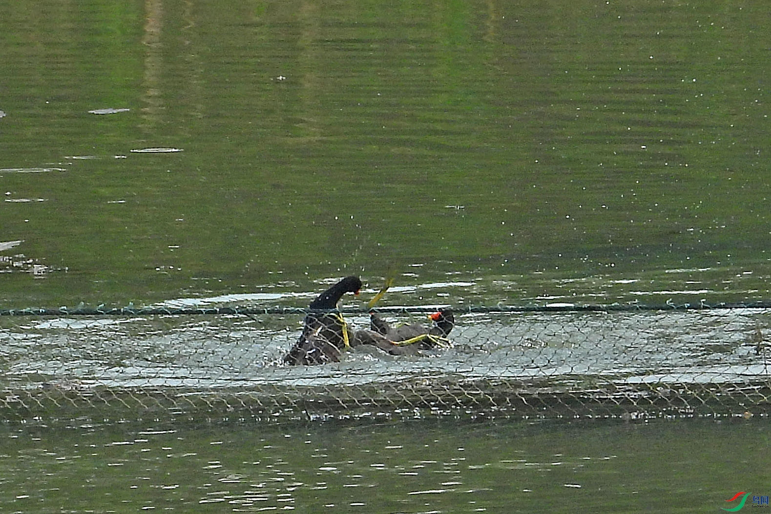 DSCN6893.JPG