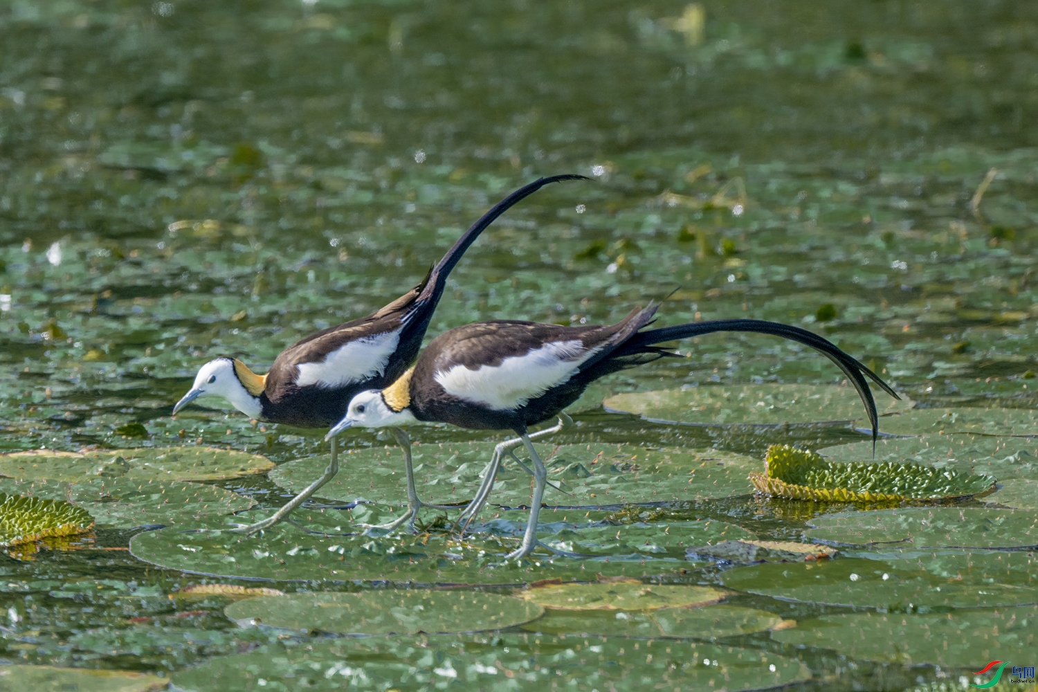 DSC_5910.jpg