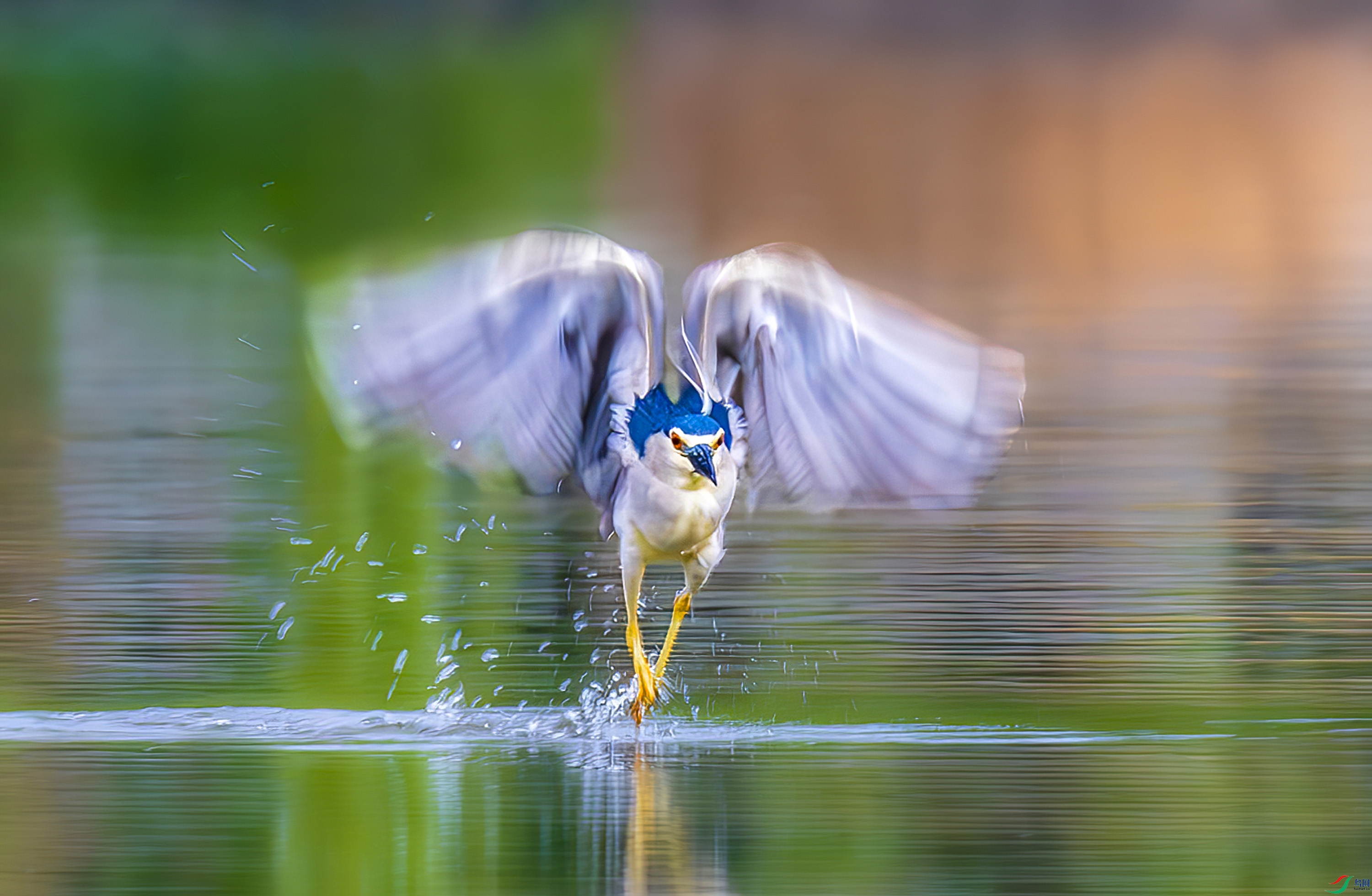 _JLN3793-����ǿ-NR ����OK.jpg