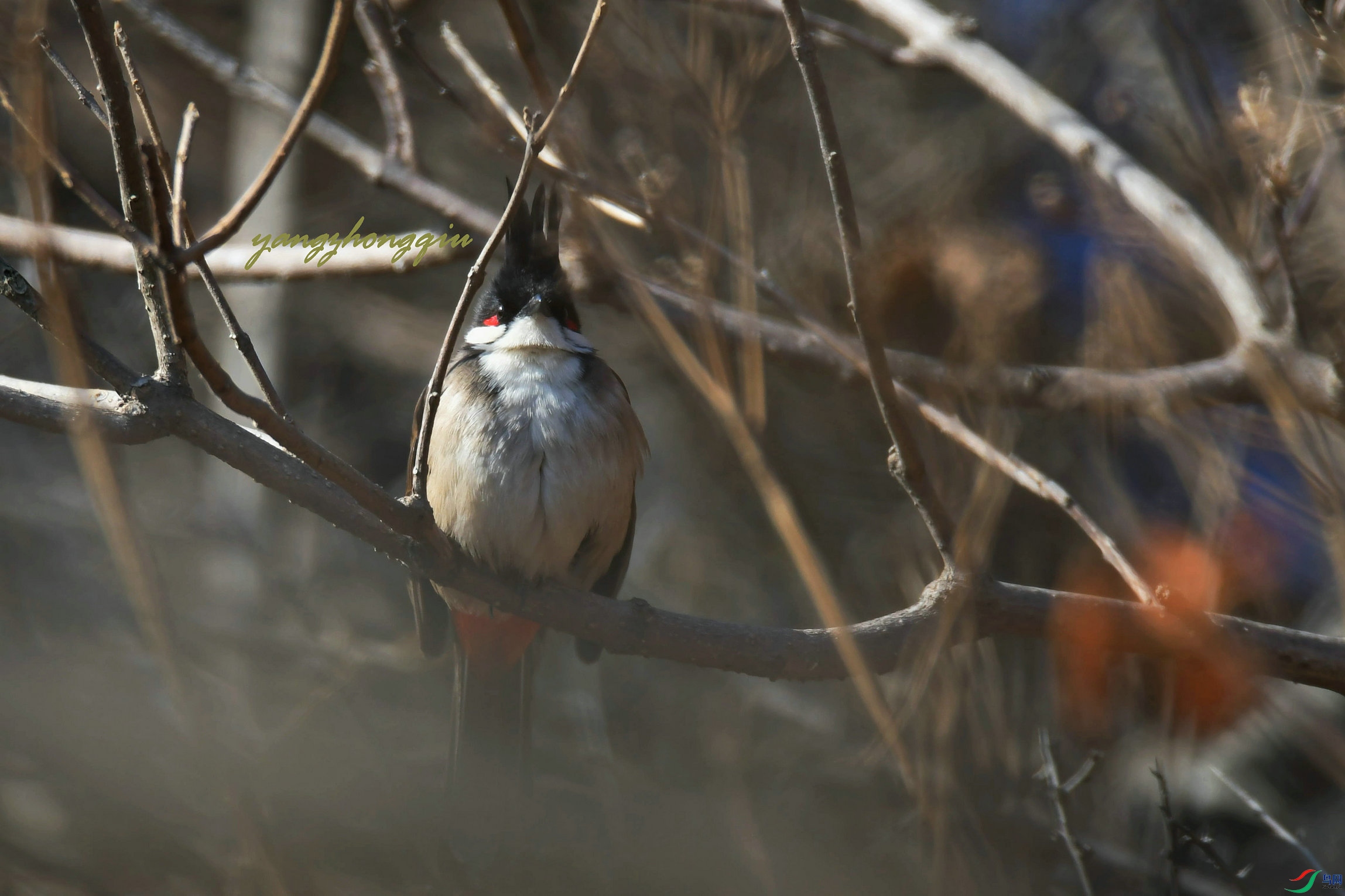 2�ൺ2021����԰