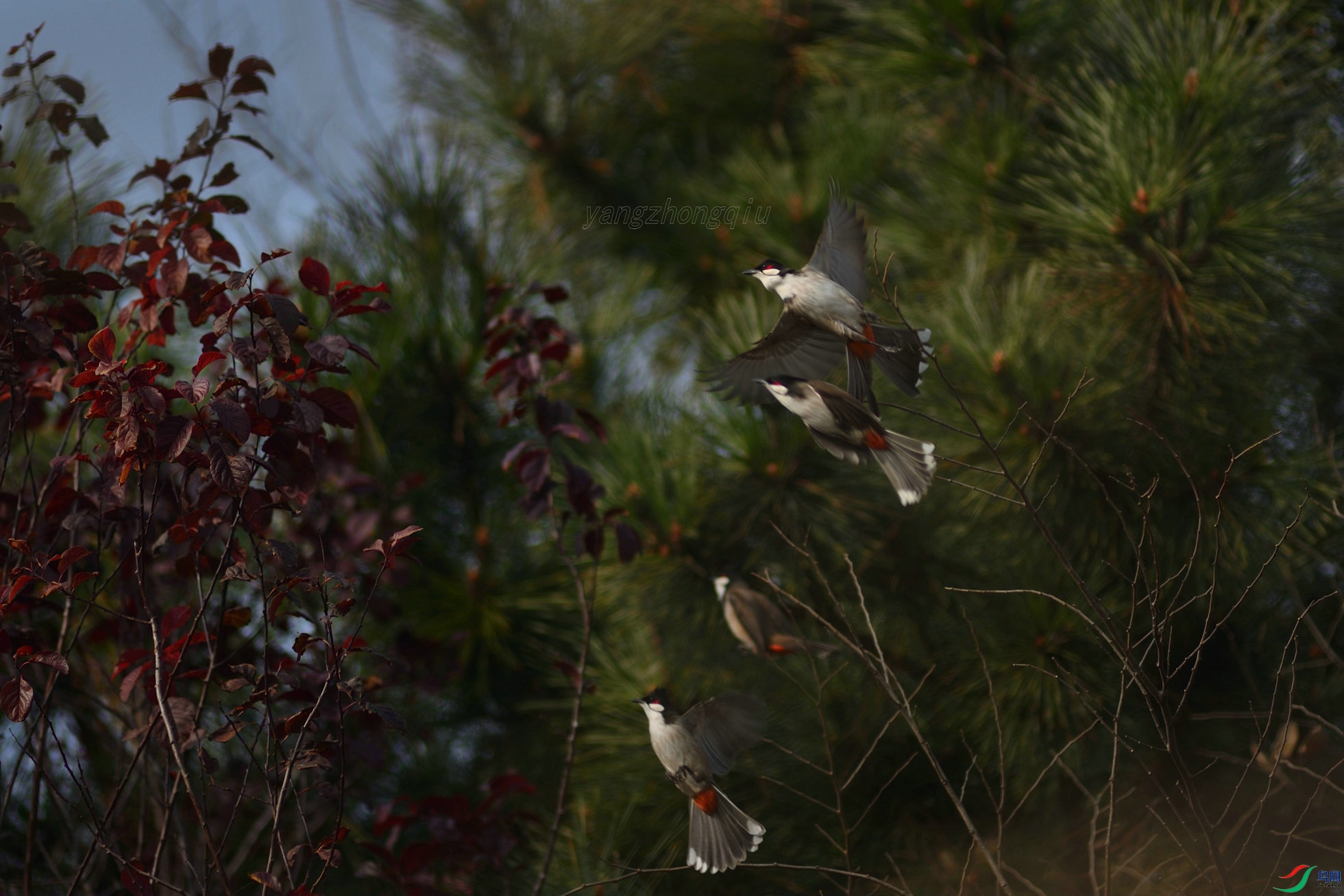 3�ൺ2021����԰