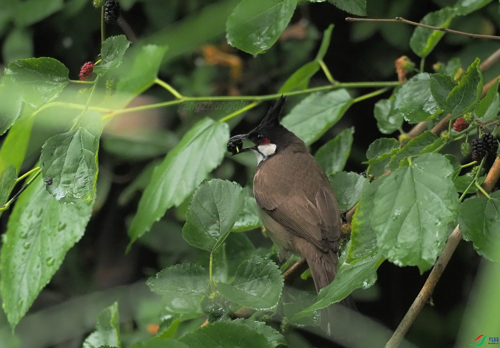 5�ൺ2022����԰