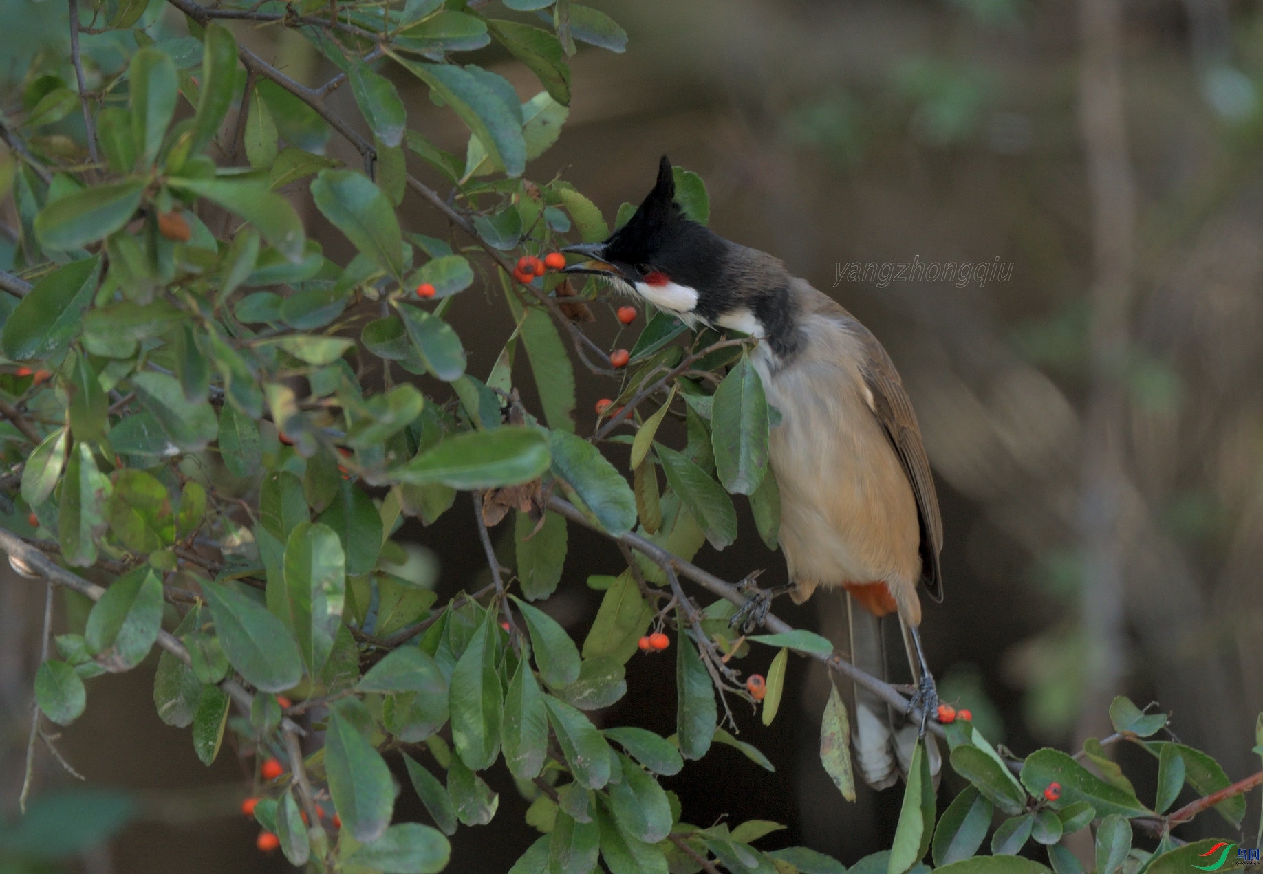 6�ൺ2022����԰