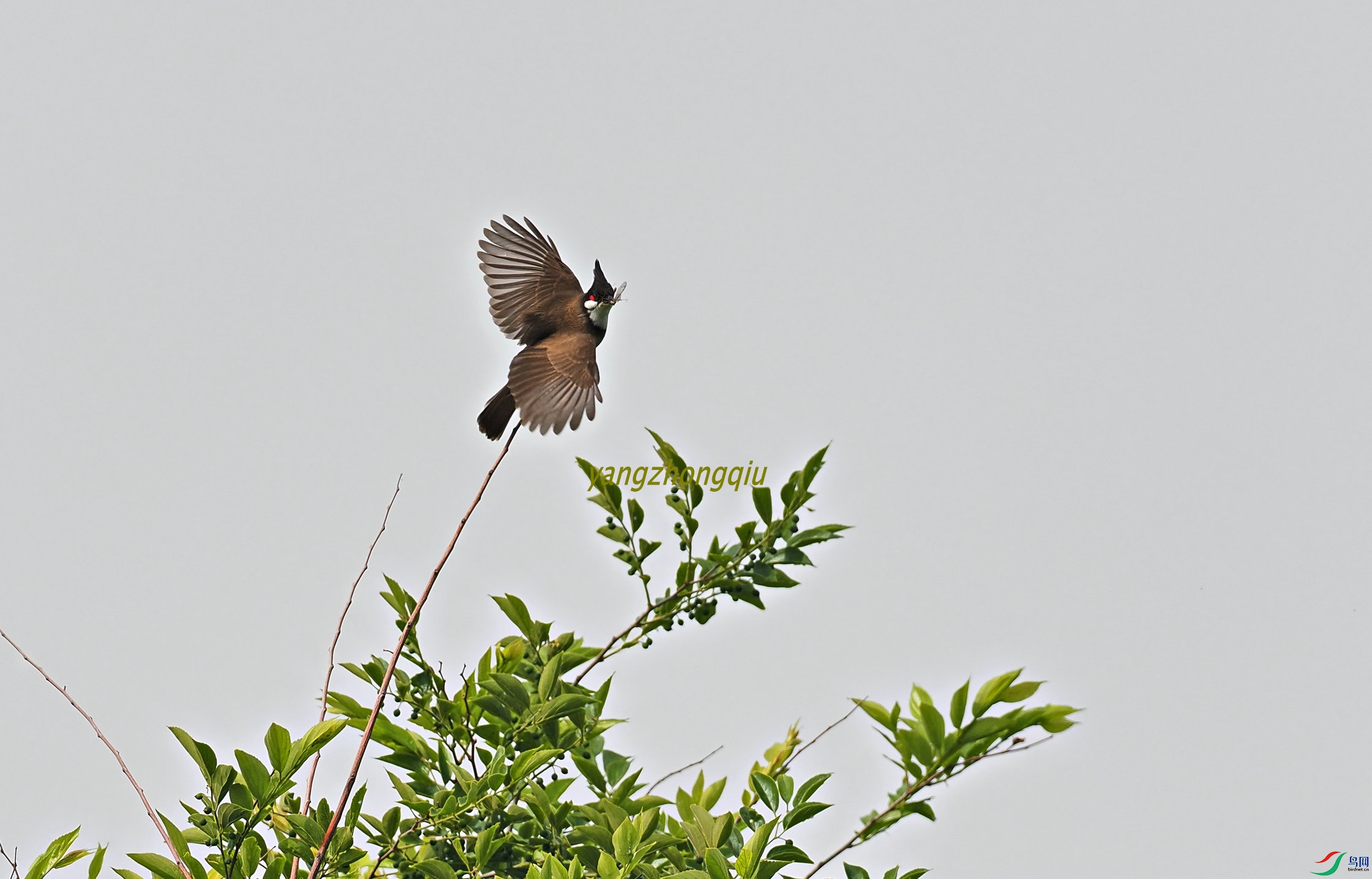 7�ൺ2022����԰