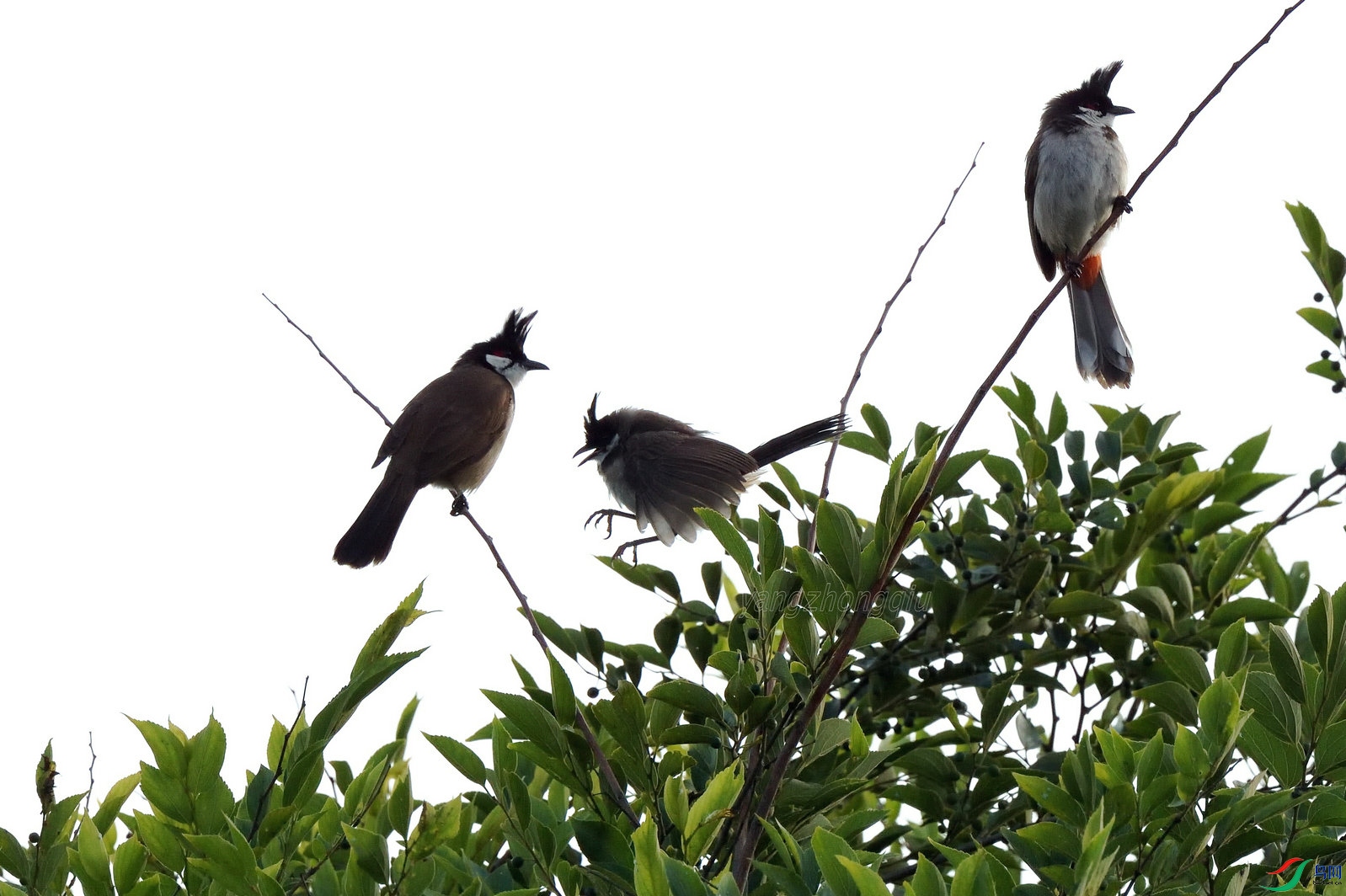 8�ൺ2023����԰