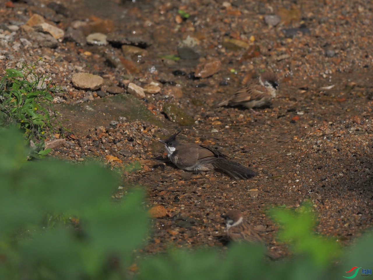 9�ൺ2023����԰