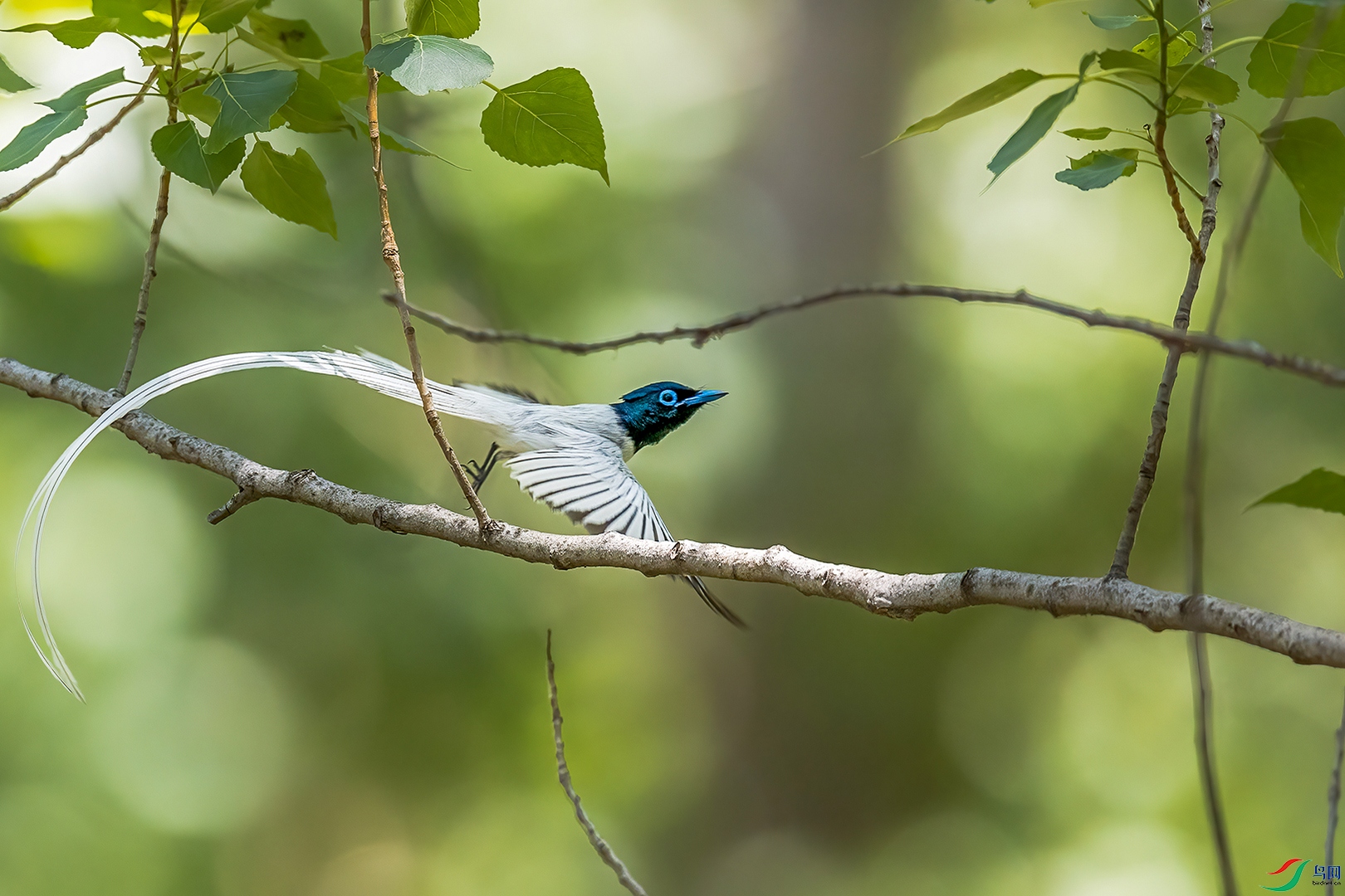_55A3025-����dc.jpg