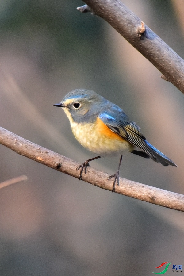 DSC_8982.JPG