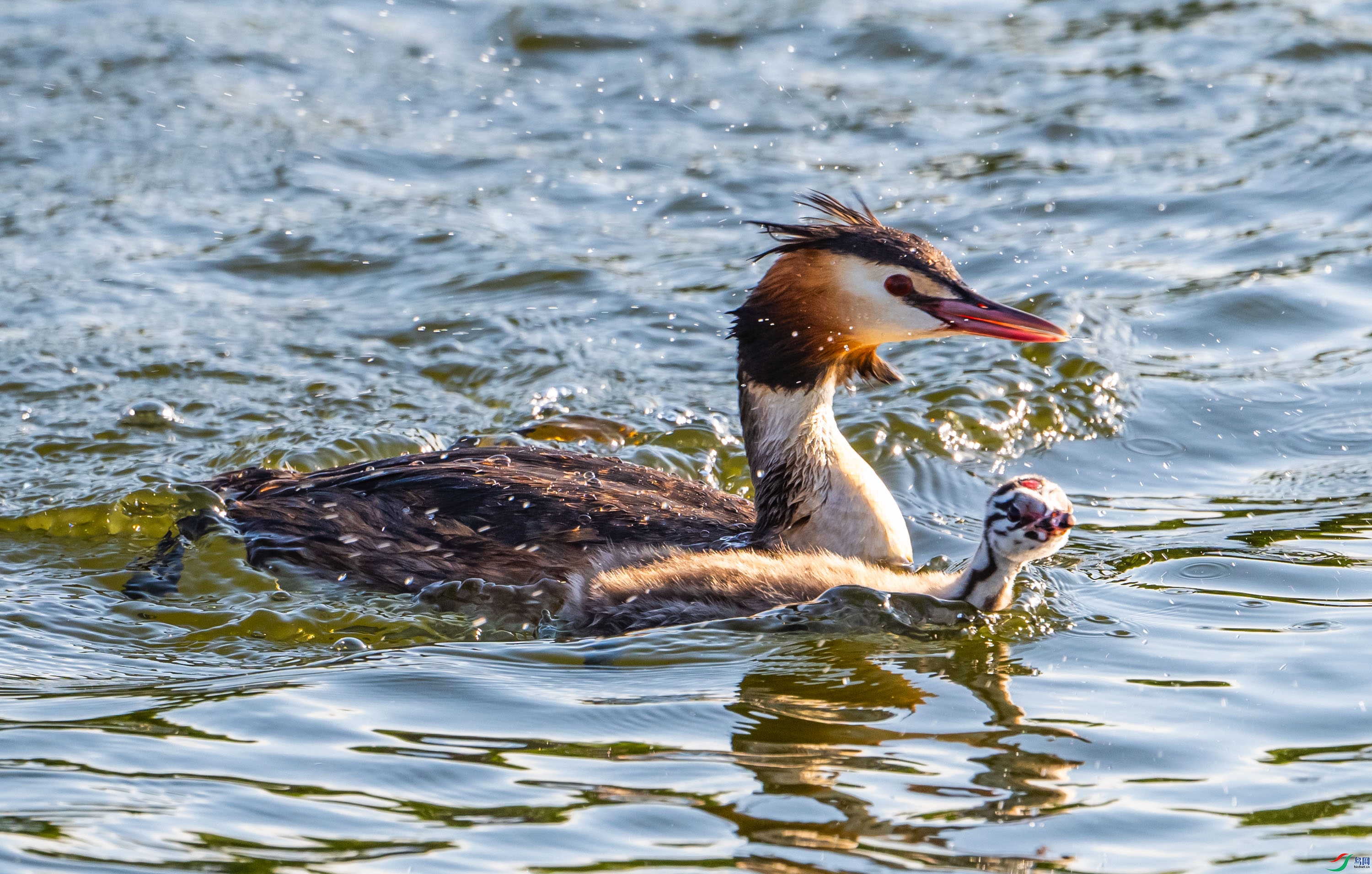 ��������ͬ��