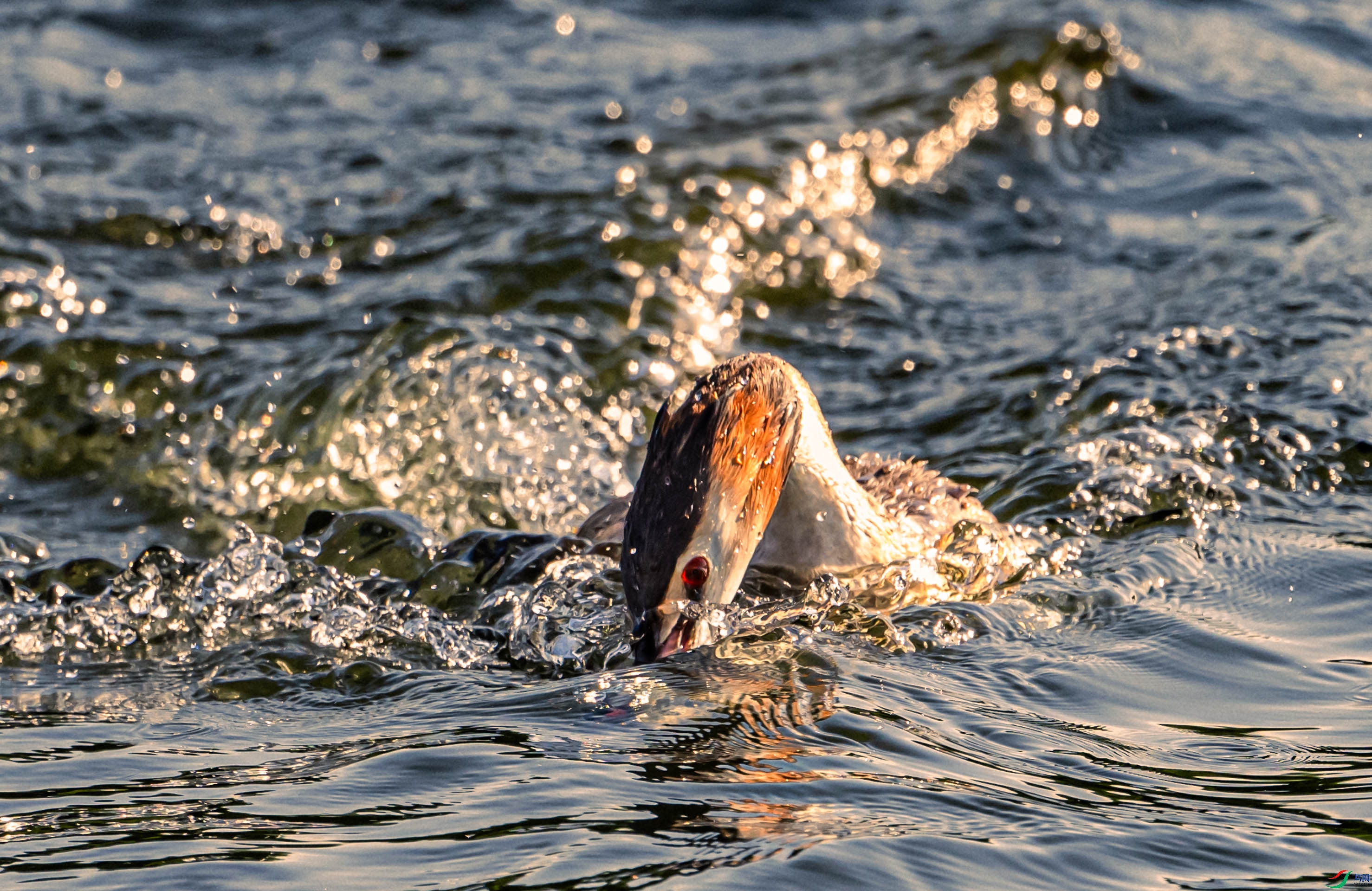 ����ˮ��