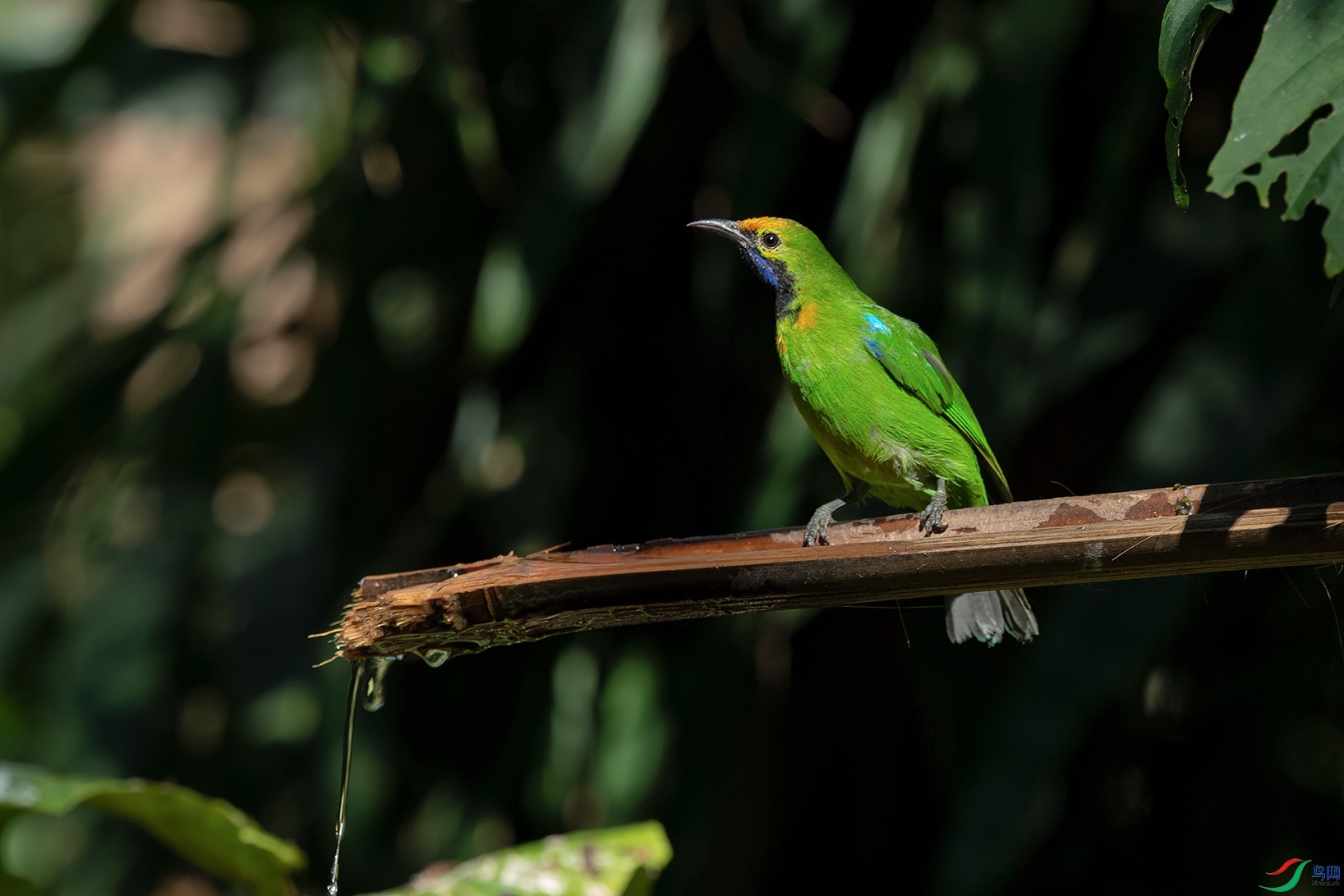 3DSC_6537_DxOa.jpg