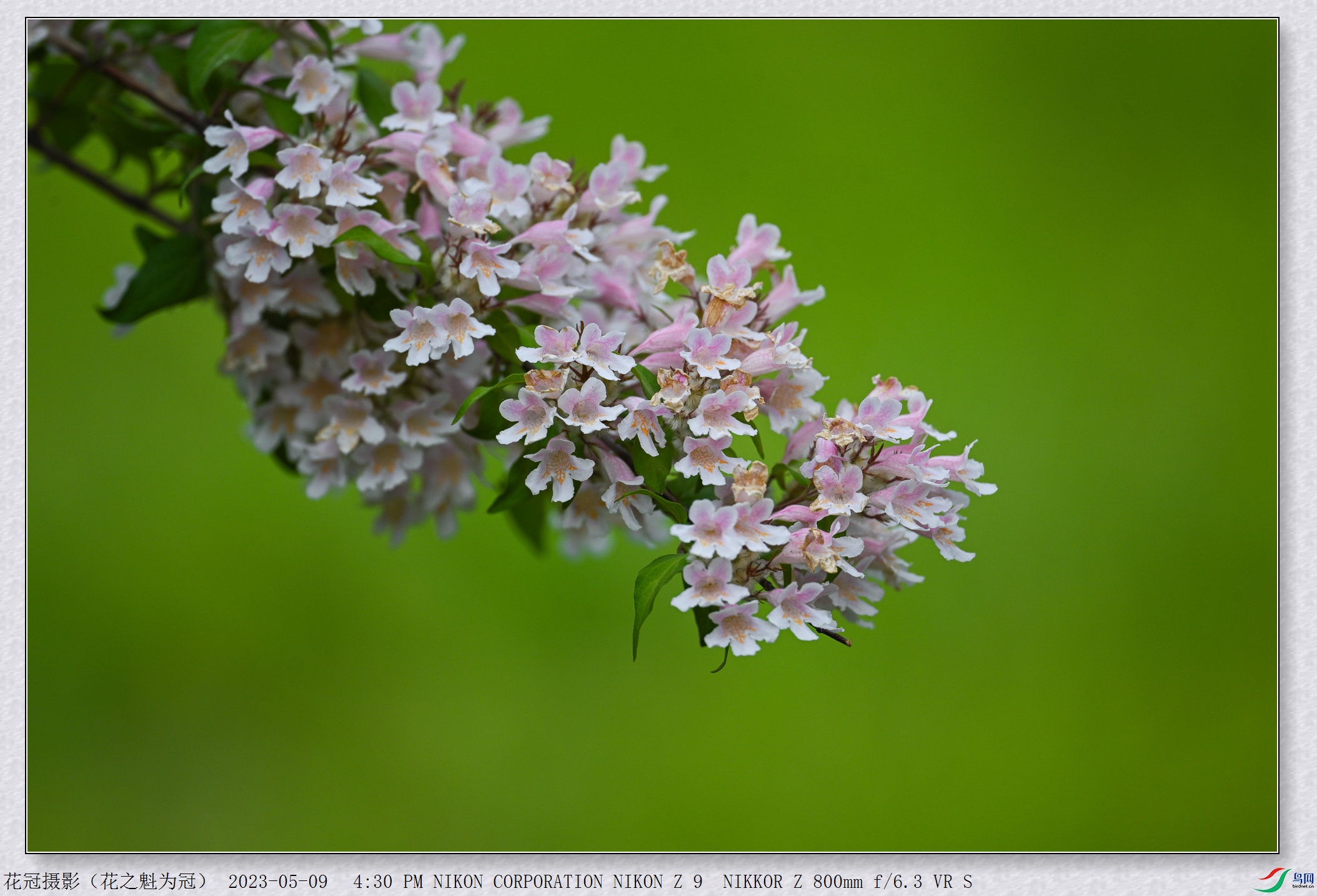 DSC_3281B-1_����.jpg