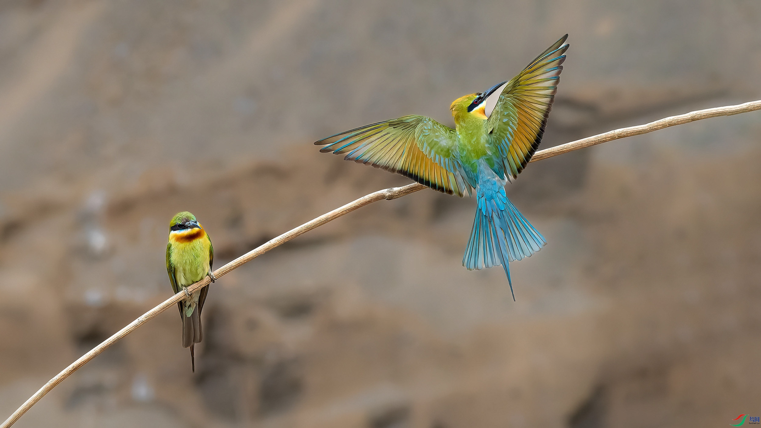 _6100956-ORF_DxO_DeepPRIME ����.jpg