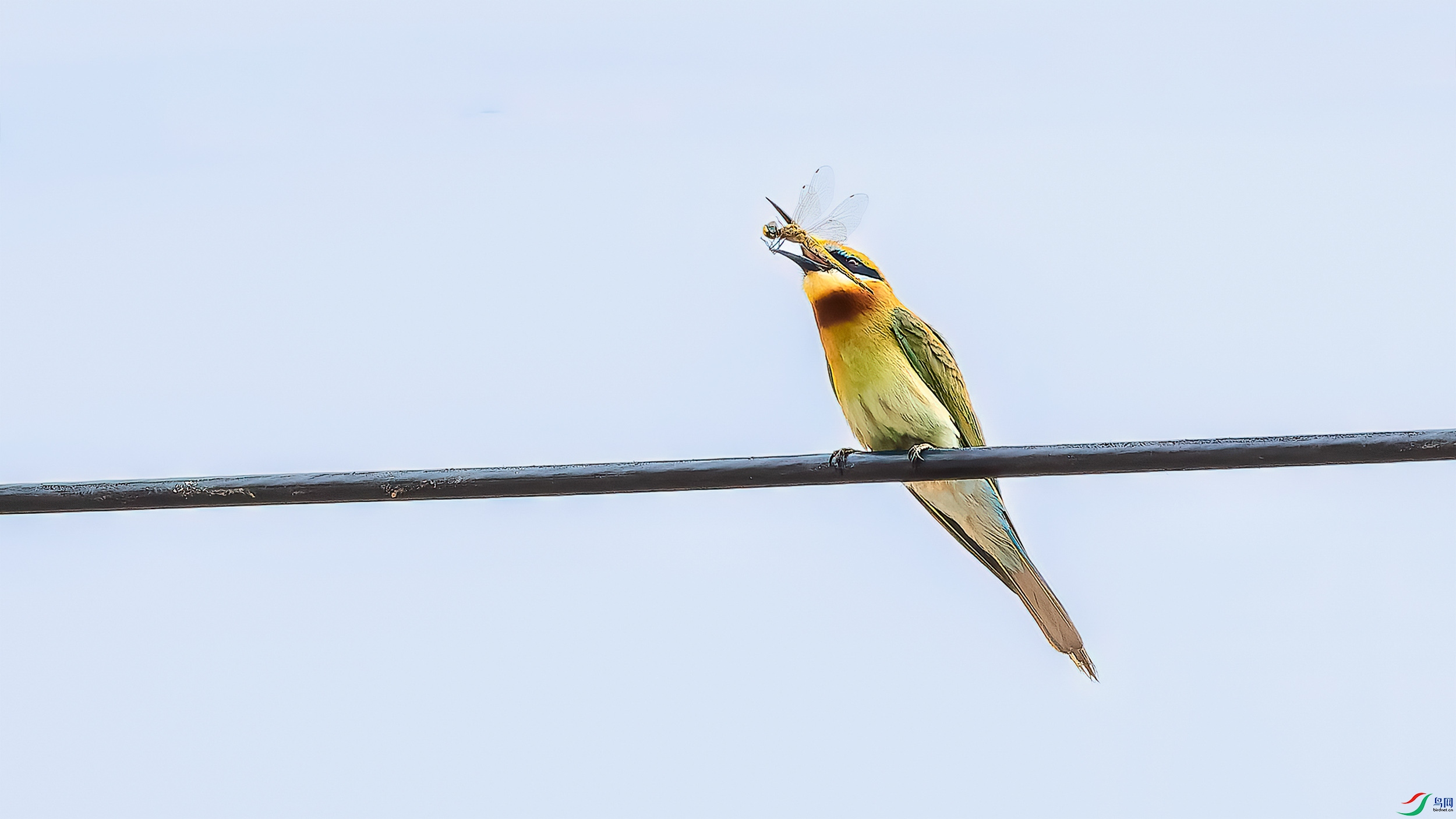 _6103022-ORF_DxO_DeepPRIME ����.jpg