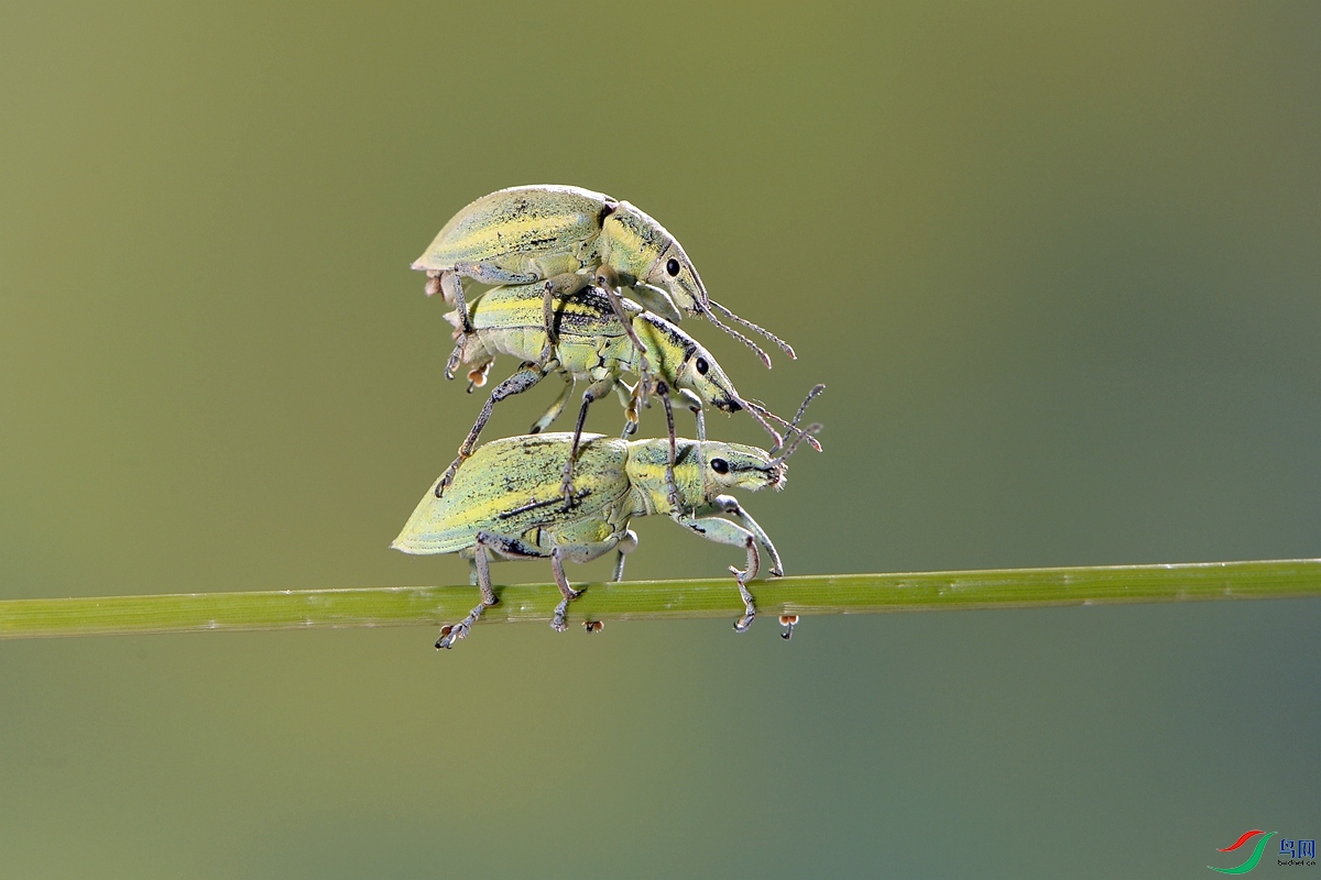 DSC_8782_����.jpg