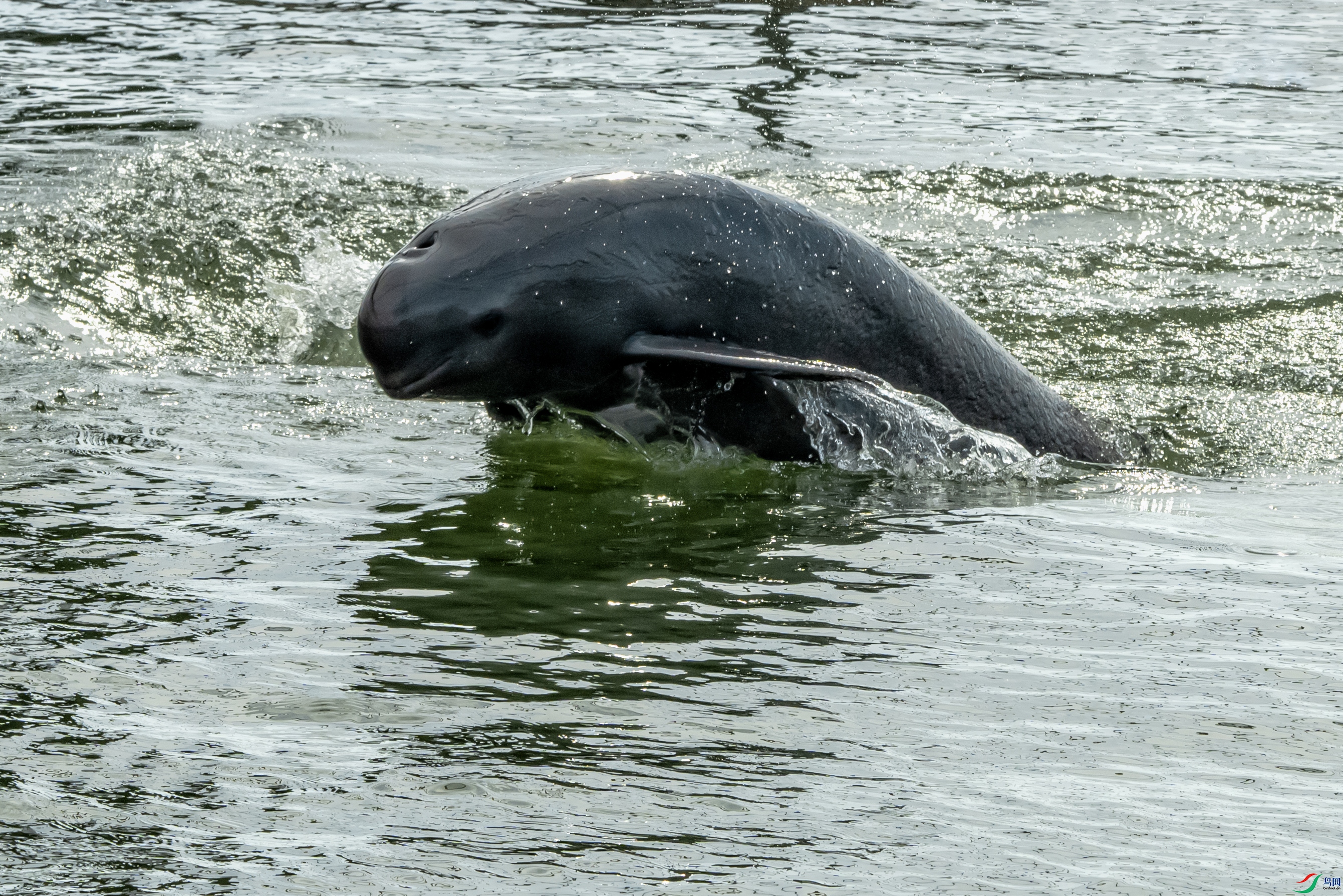 _DSC5613 ����.jpg