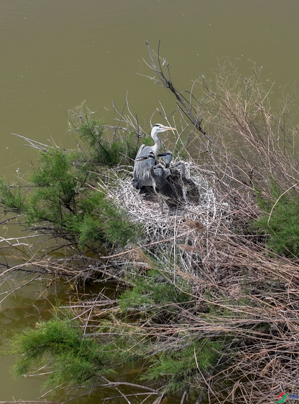 DJI_0926.JPG