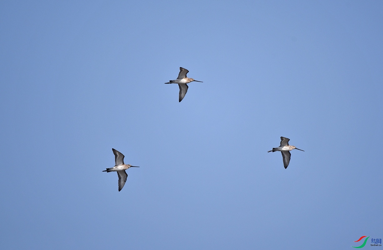 DSC_7626.jpg
