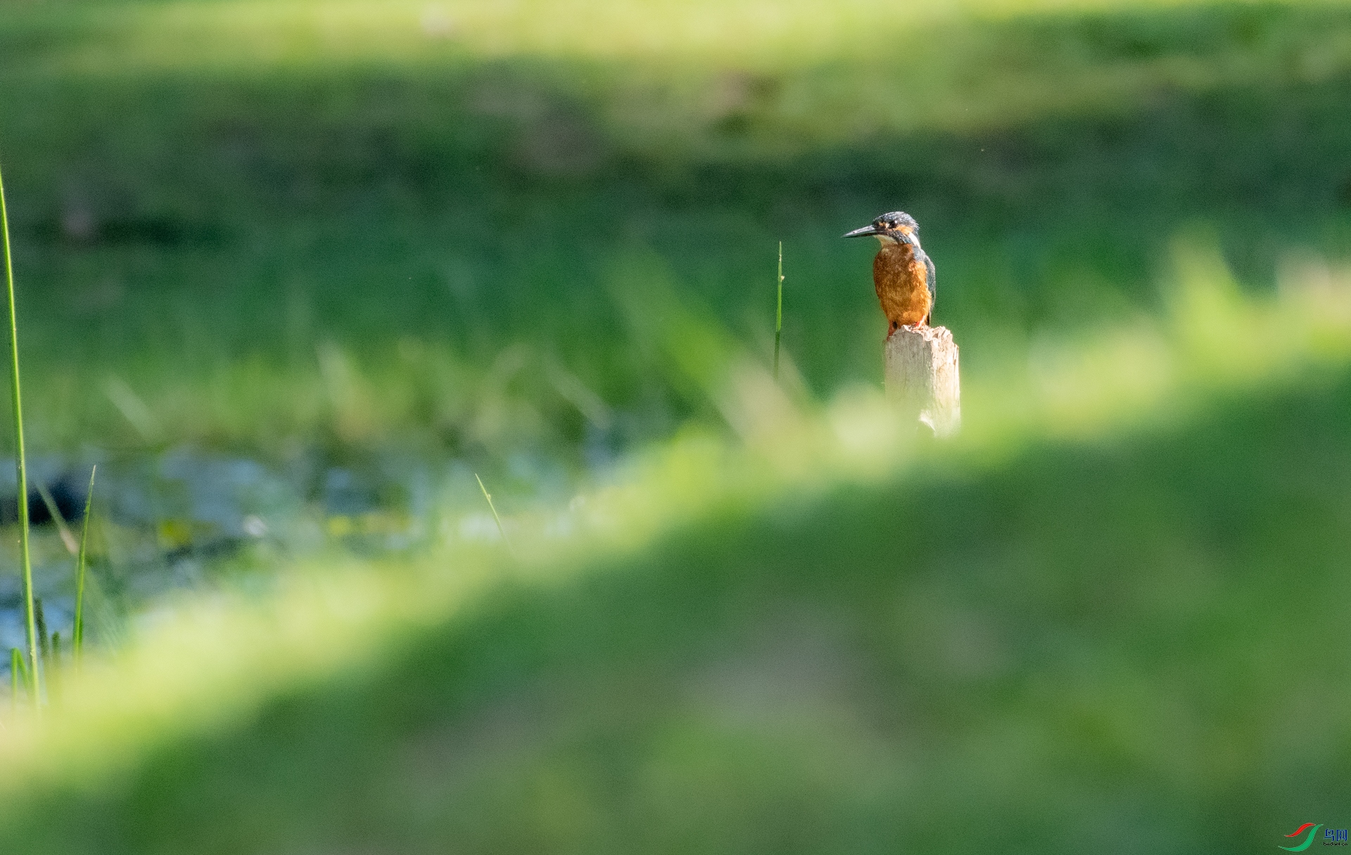 DSC_1081.jpg