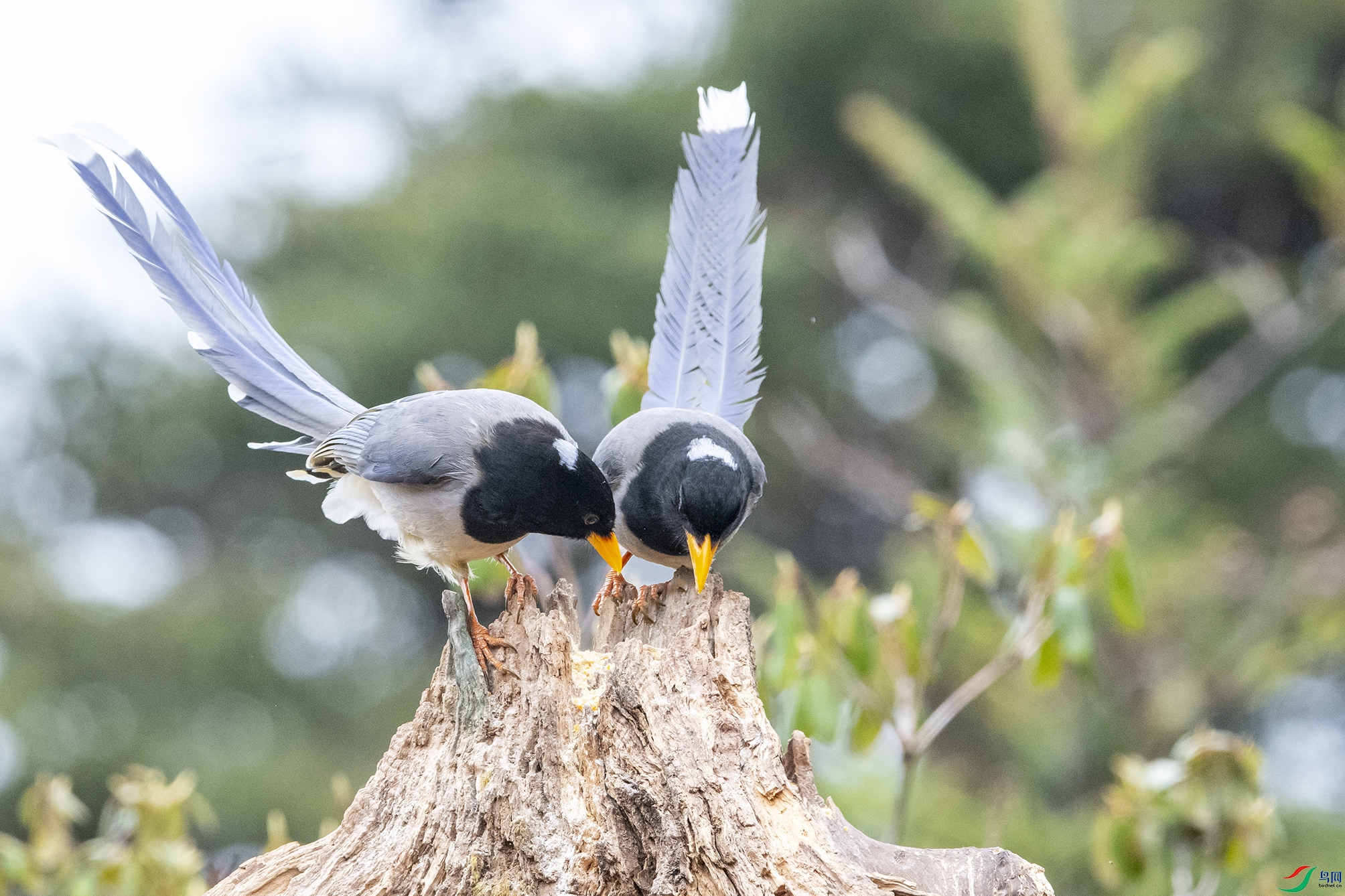 5664 ����.jpg