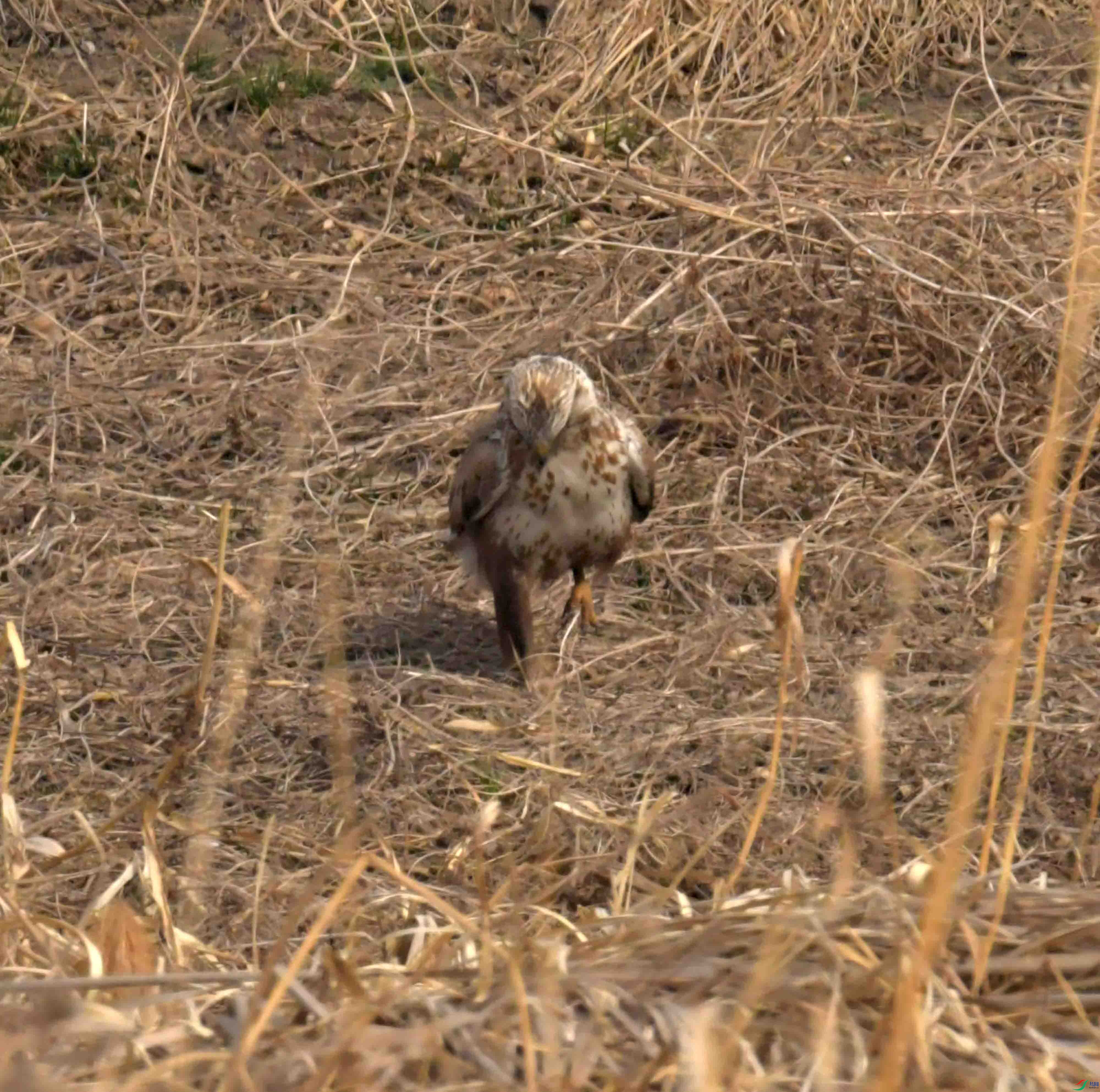 DSC_2273.JPG